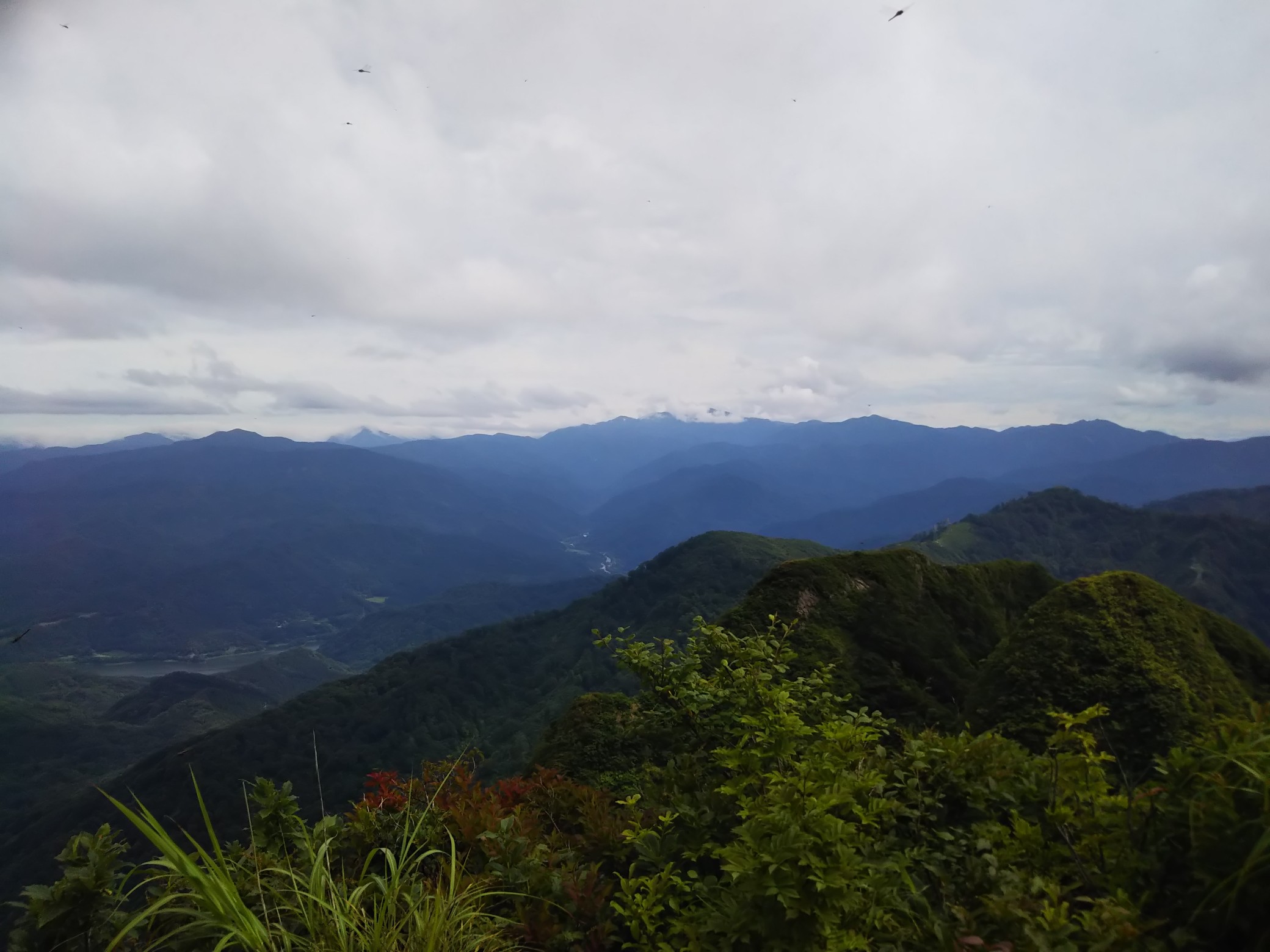 摩耶山 ぬのさんの摩耶山 山形県鶴岡市 の活動データ Yamap ヤマップ