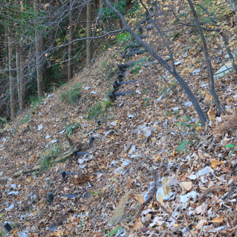 その左側の道を上から。擬木で舗装されているのになぜ歩かれなくなったのでしょう🤔