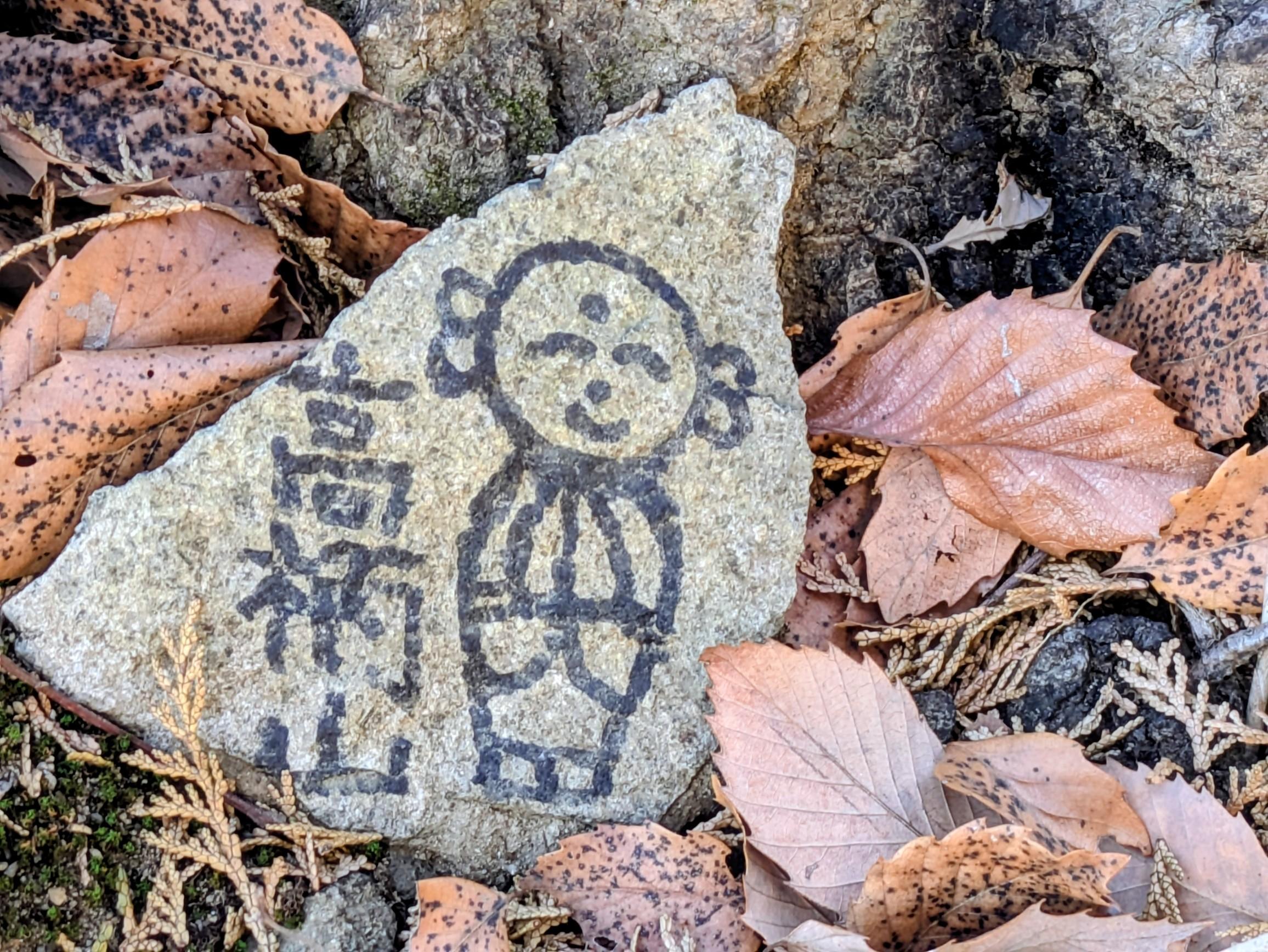 高柄山・鶴島御前山 / RURU.JAPANさんの倉岳山・高畑山・九鬼山の活動