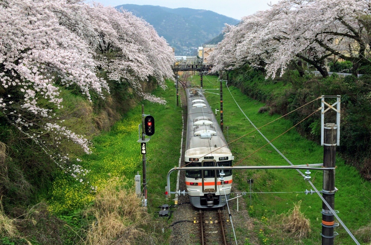 御殿場線 山北駅 沿線桜並木を歩く エル丸さんの高松山 大野山の活動日記 Yamap ヤマップ