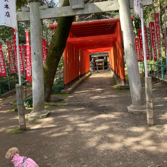 小牧山 小牧山稲荷神社