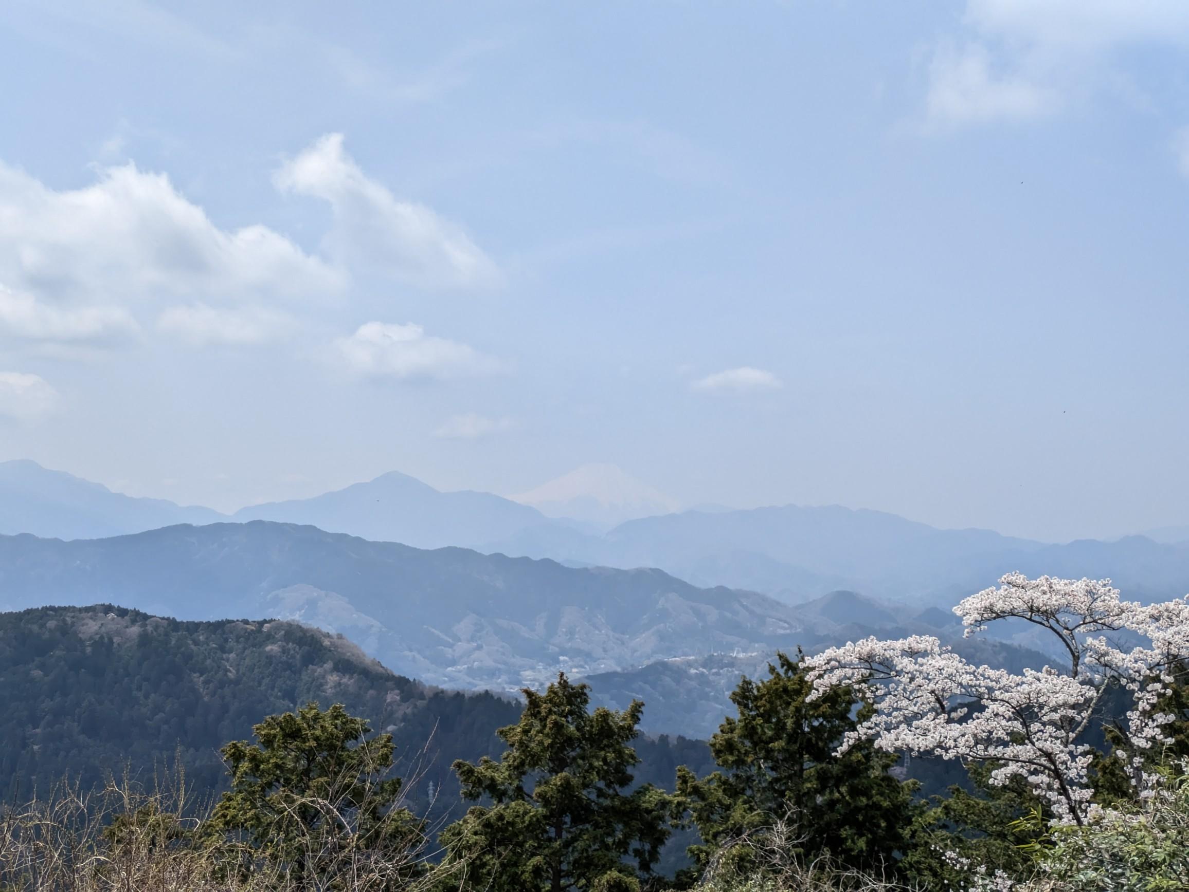 ガスってましたが、富士山が見えた！