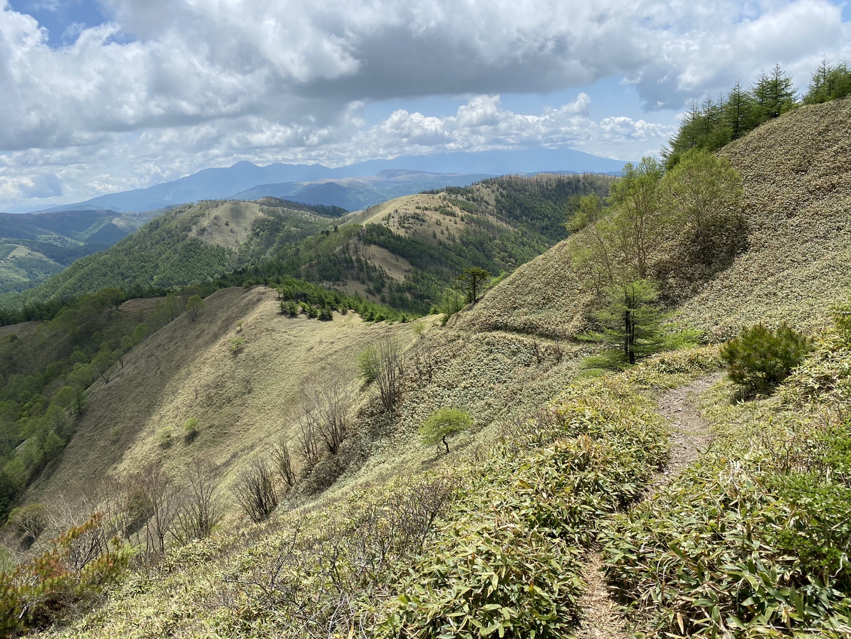 鉢伏山・二ッ山・前鉢伏山 / じゃめーかぺんさんの鉢伏山(長野県)・高ボッチ山・三峰山の活動データ YAMAP / ヤマップ