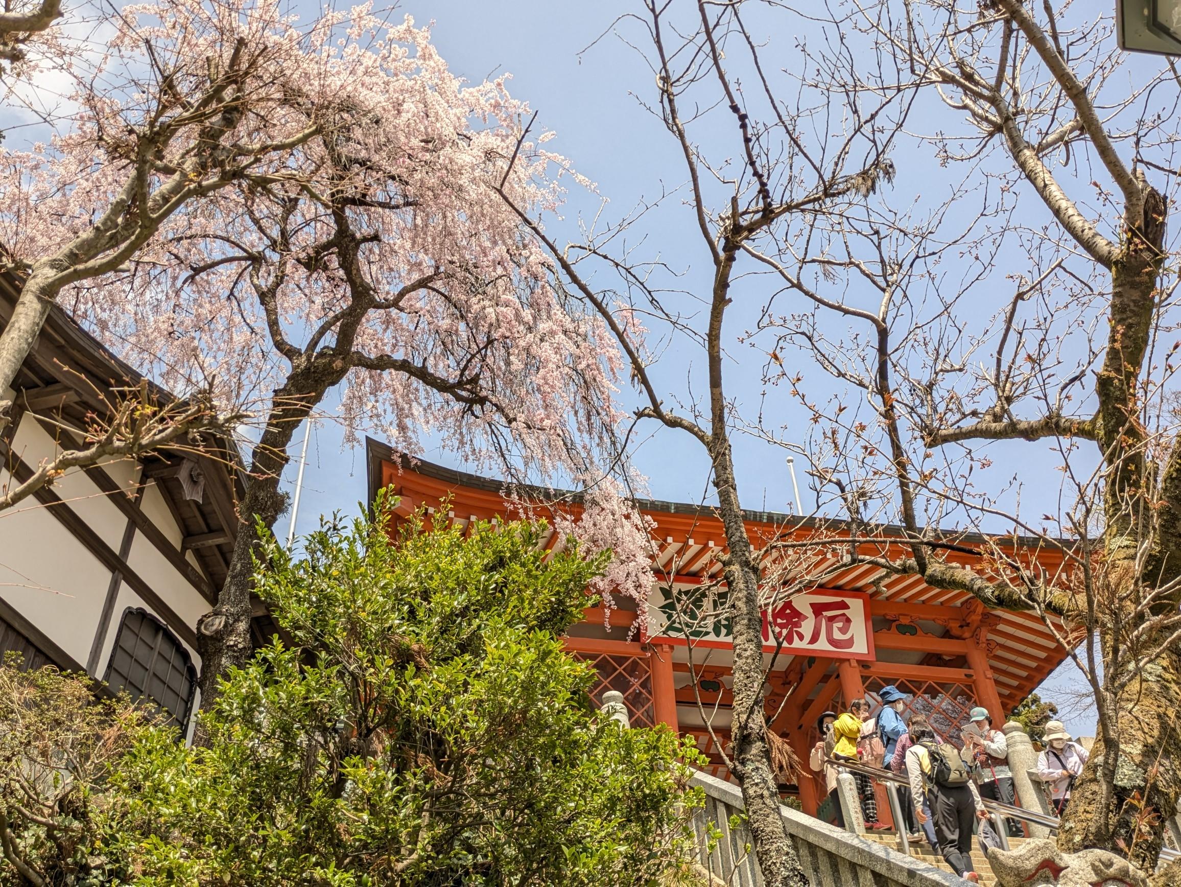 コントラストが良いね！