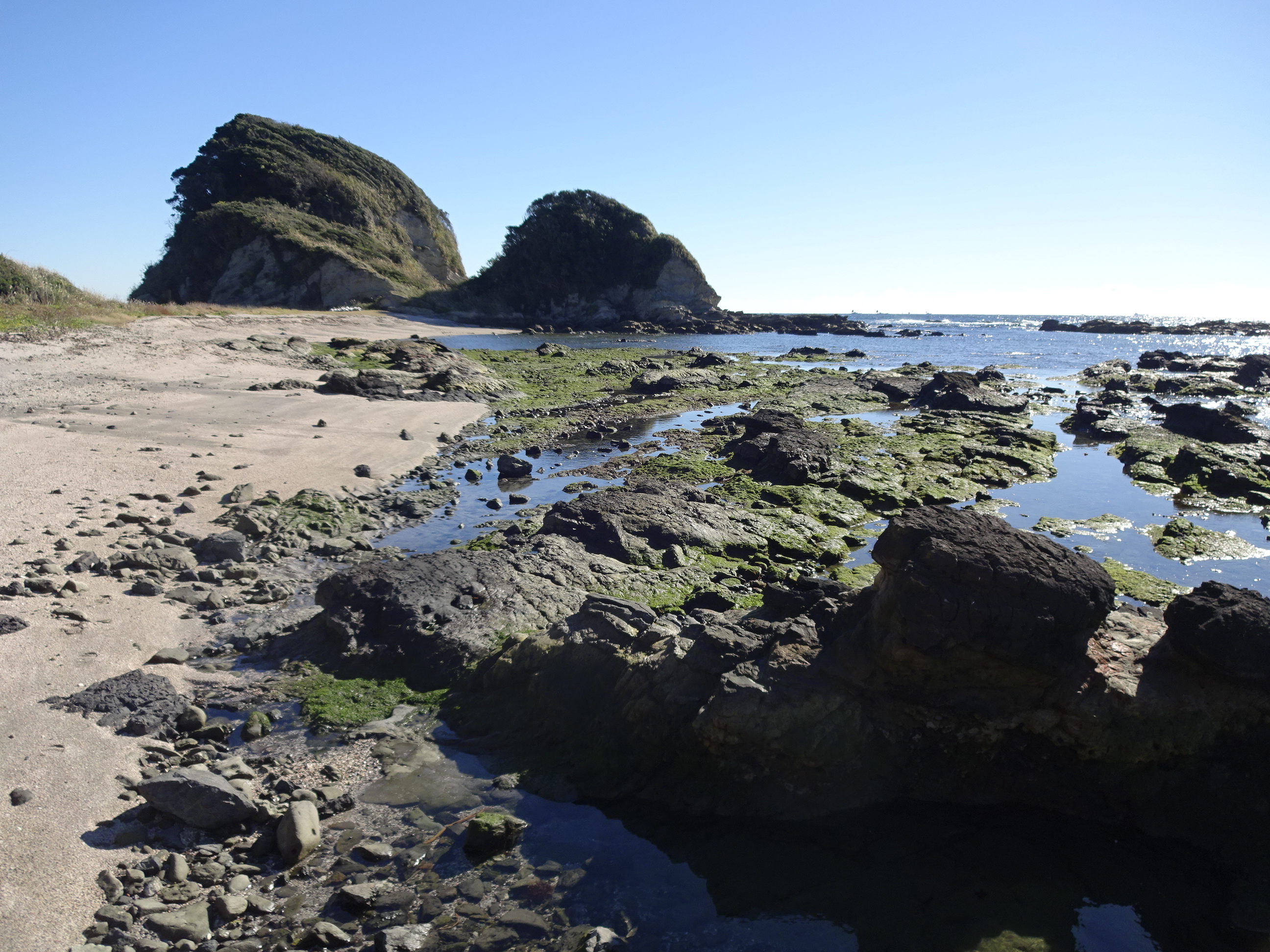 三崎海岸ウォーク 16 12 17 へ さんさんの三浦市の活動日記 Yamap ヤマップ