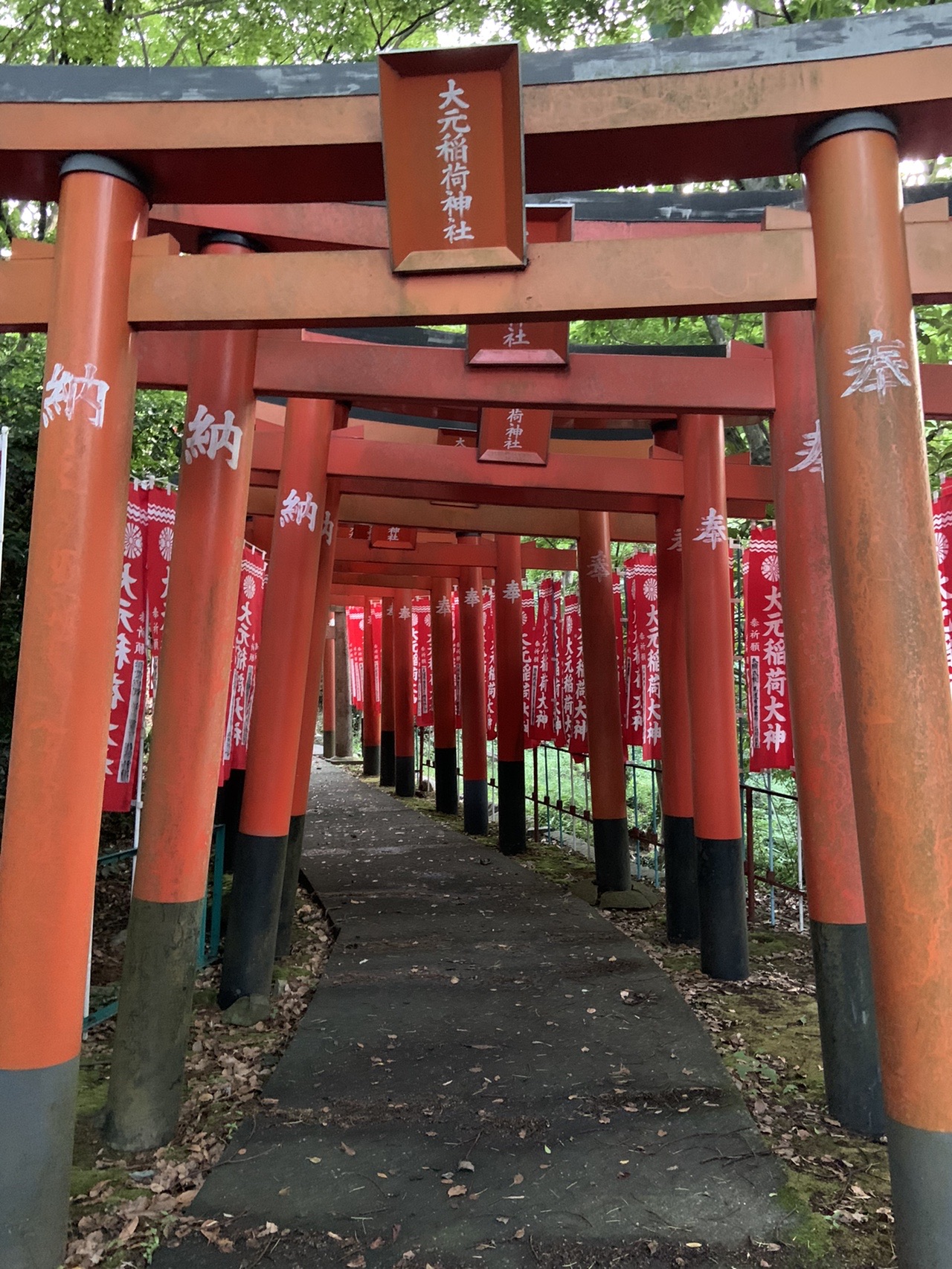 大元稲荷神社 Soさんの北九州市 小倉南区 の活動日記 Yamap ヤマップ
