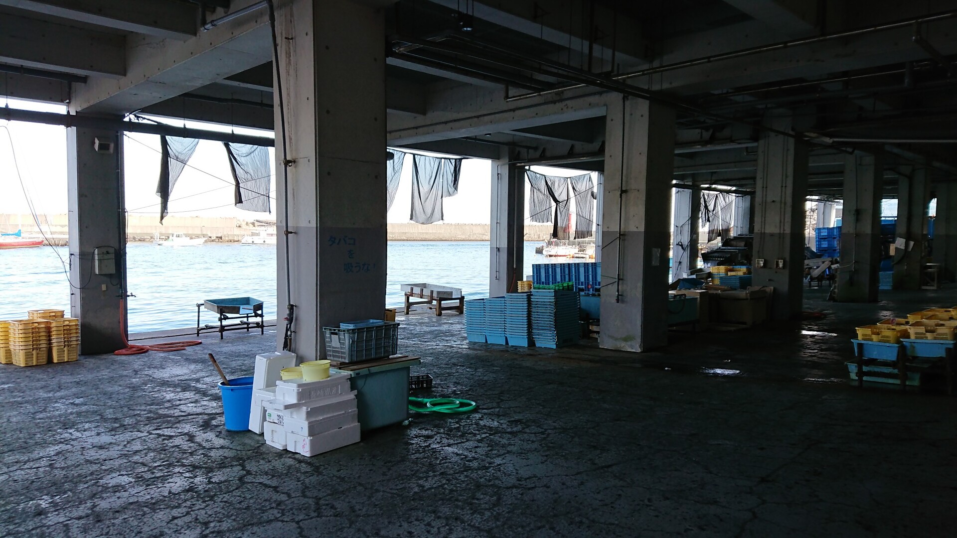 真鶴半島 魚を求めてハイキング Contaさんの幕山 南郷山の活動日記 Yamap ヤマップ