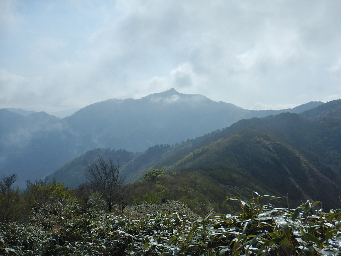 四国山地中心部縦走 Shun太郎さんの東光森山 野地峰 黒岩山の活動データ Yamap ヤマップ