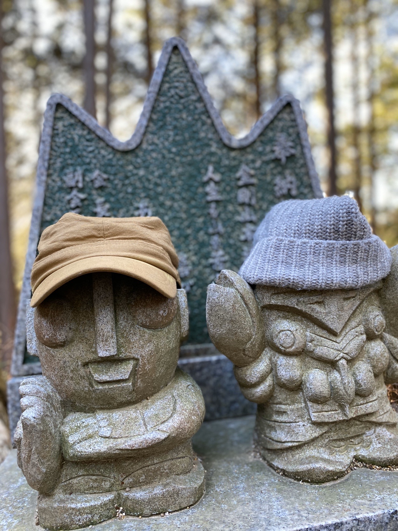 金剛山 やっぱ天気大事 うえきよさんの金剛山 二上山 大和葛城山の活動データ Yamap ヤマップ