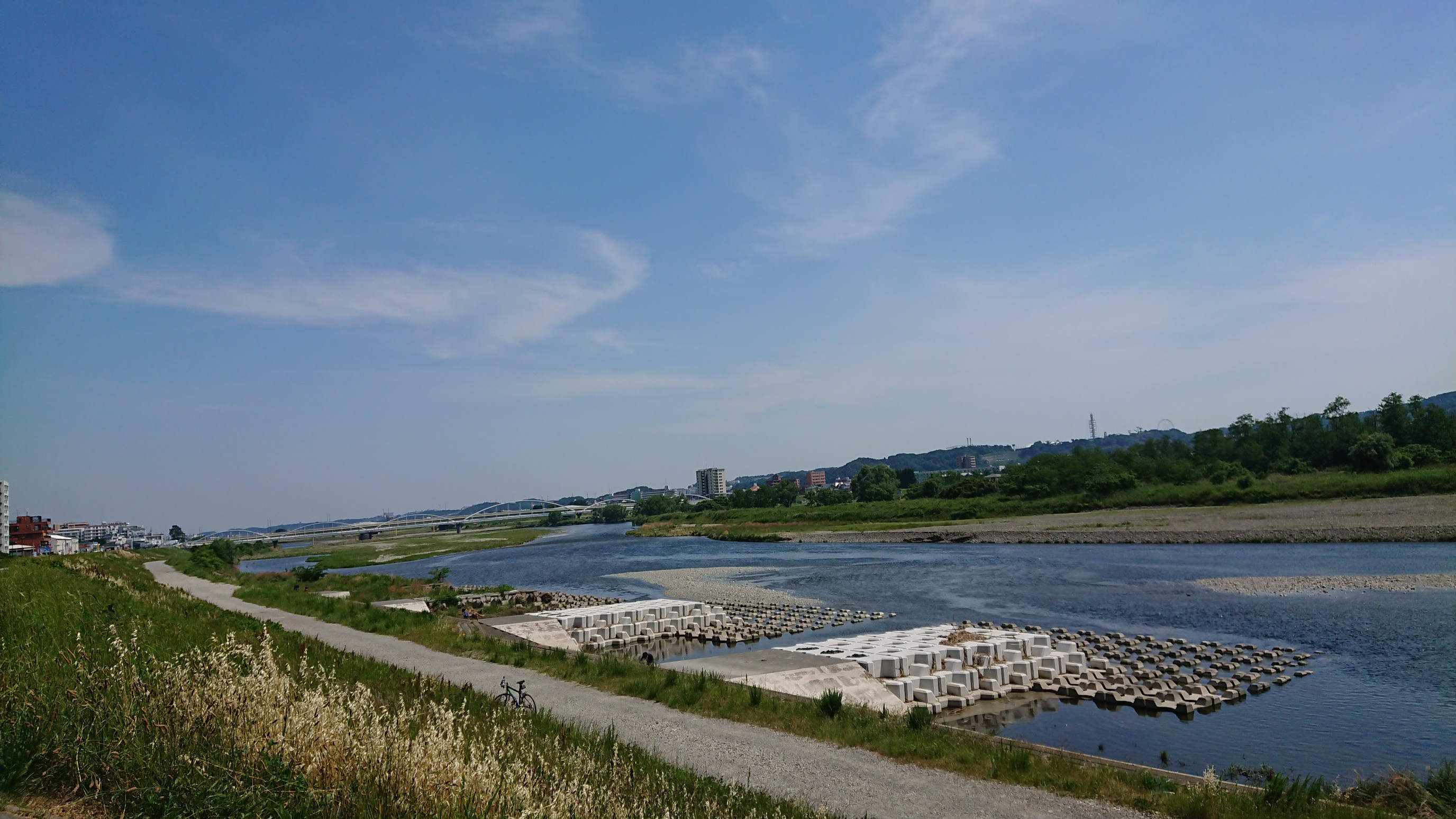 自転車で多摩川河口約100キロ 2019-05-26 / トビさんの小平グリーン 
