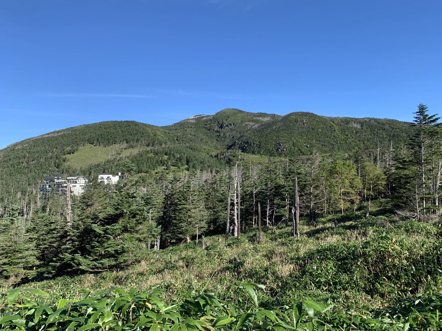 北横岳 長野県 の最新登山情報 人気の登山ルート 写真 天気など Yamap ヤマップ