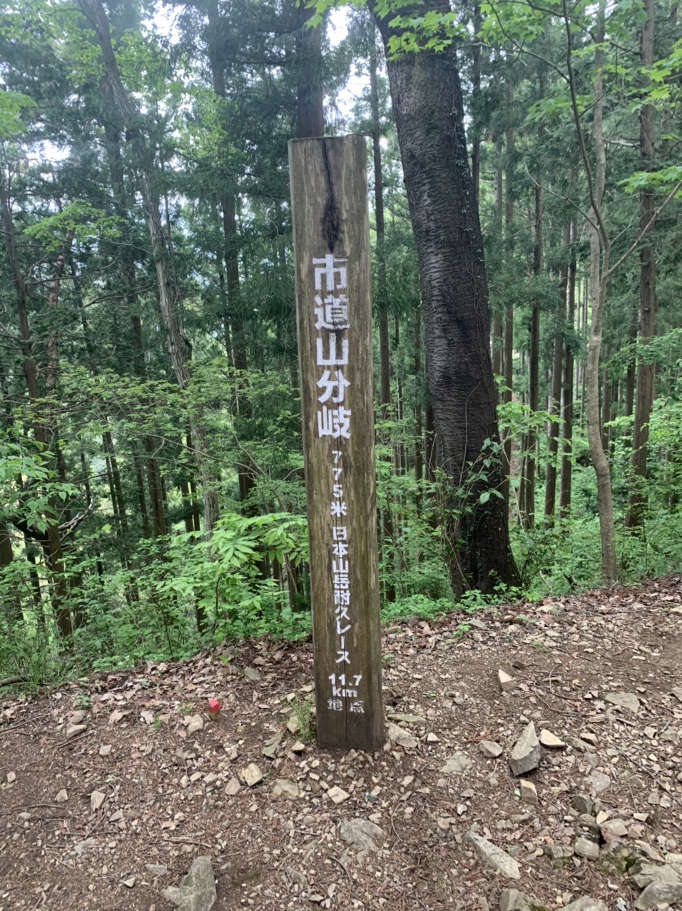 ハセツネ30k試走2回目 中止連絡 キタジさんのハセツネcup 日本山岳耐久レース 71 5kmコース の活動日記 Yamap ヤマップ