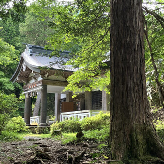 久しぶりの金時山にるんるんしています☺︎