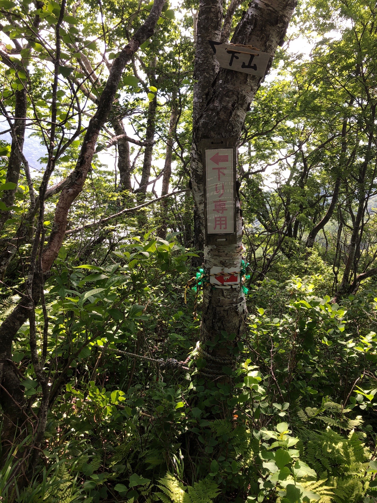 展望は申し分ないけど 少しこわかった 恵庭岳 いなかおっさんさんの恵庭岳の活動日記 Yamap ヤマップ