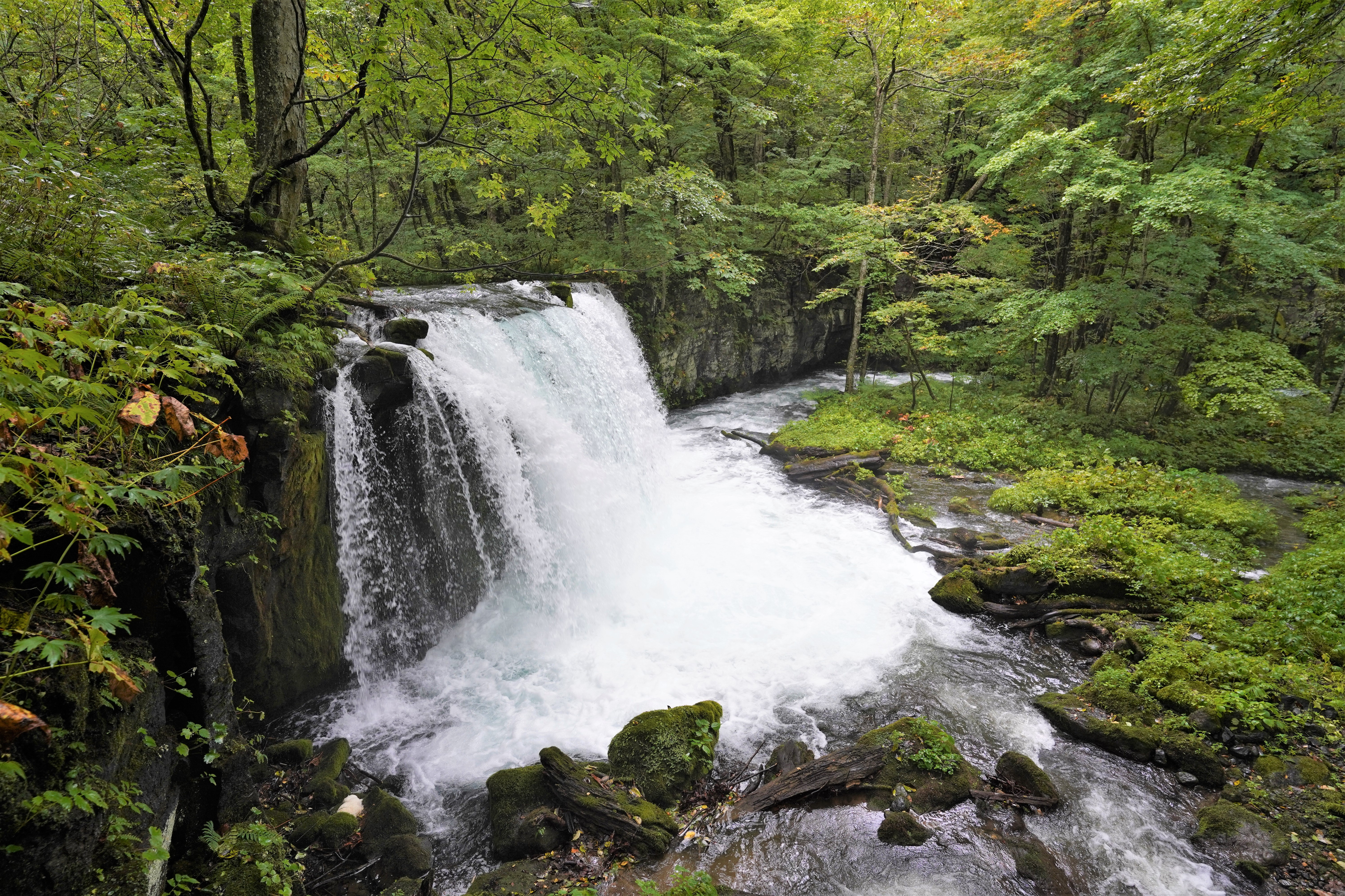 青森1 3 十和田湖と奥入瀬渓流 Mats まっつ さんの十和田湖の活動日記 Yamap ヤマップ