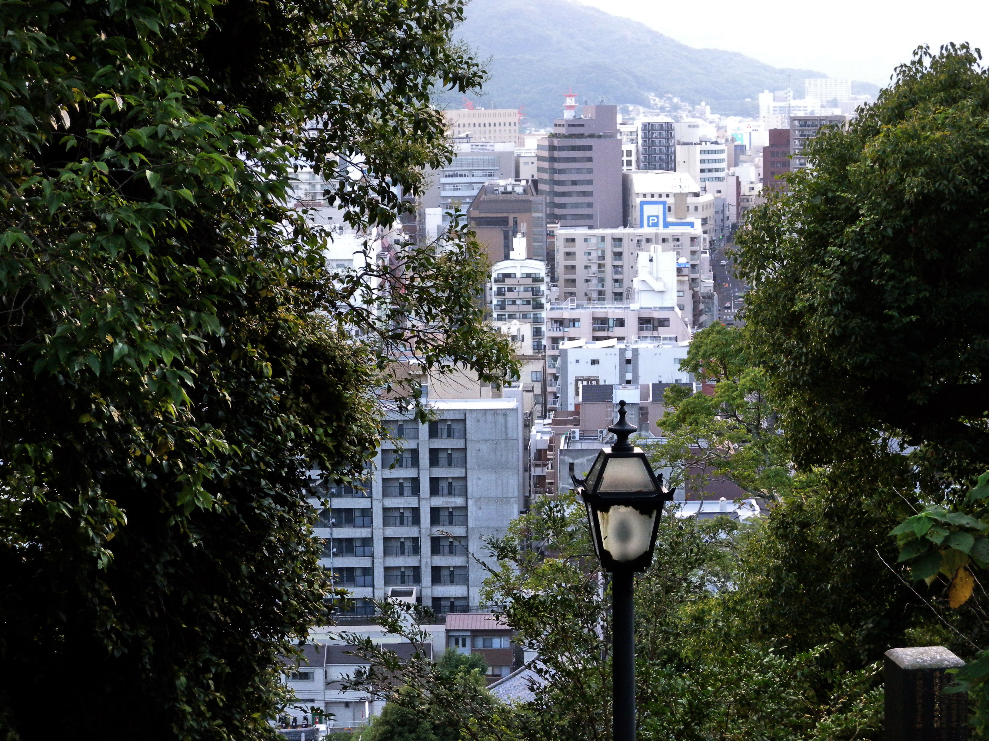 無縁坂 森林浴 さんの長崎市の活動日記 Yamap ヤマップ