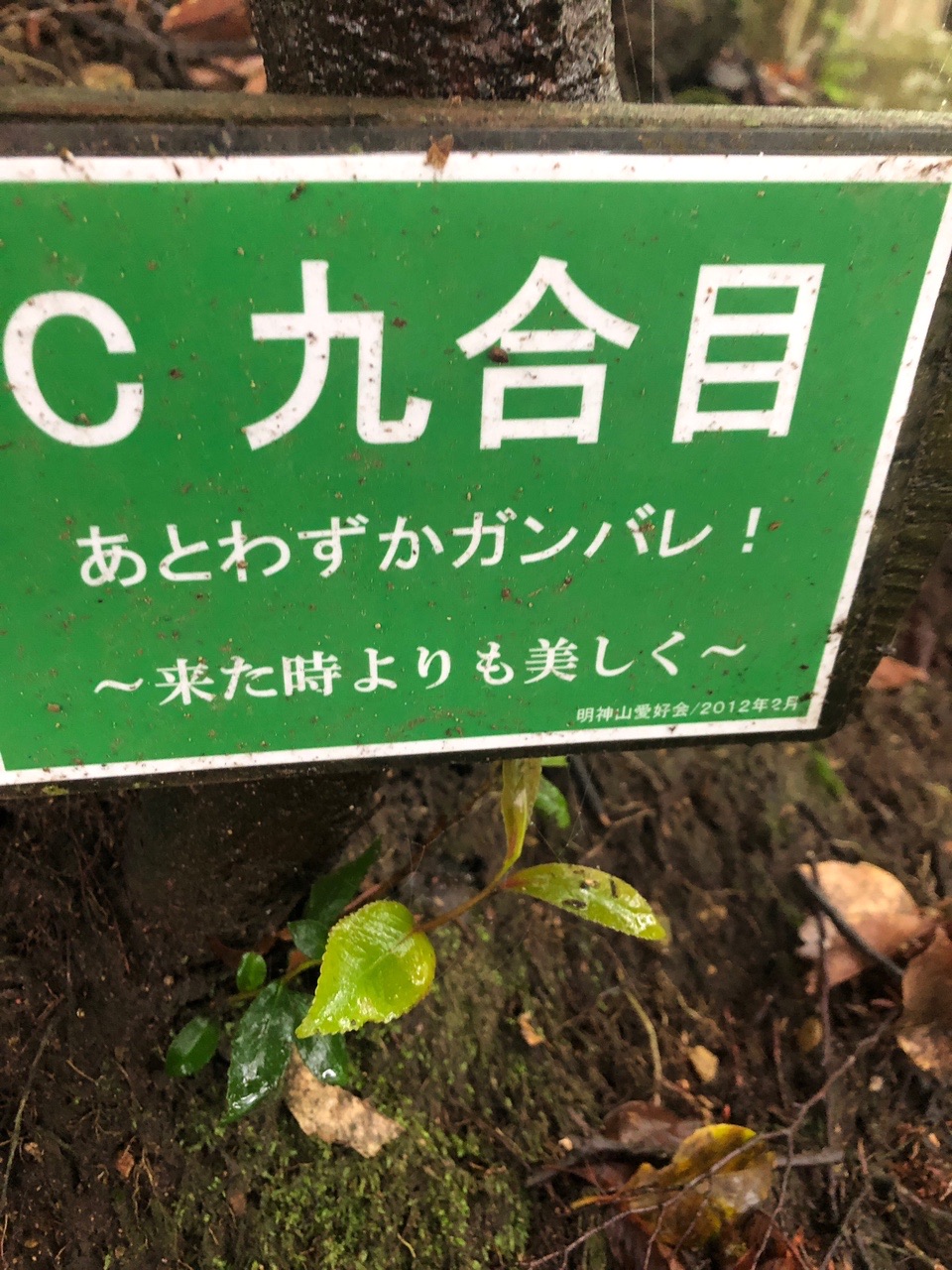 地蔵岳 明神山 五百蔵 廉子さんの明神山 太郎岳の活動データ Yamap ヤマップ