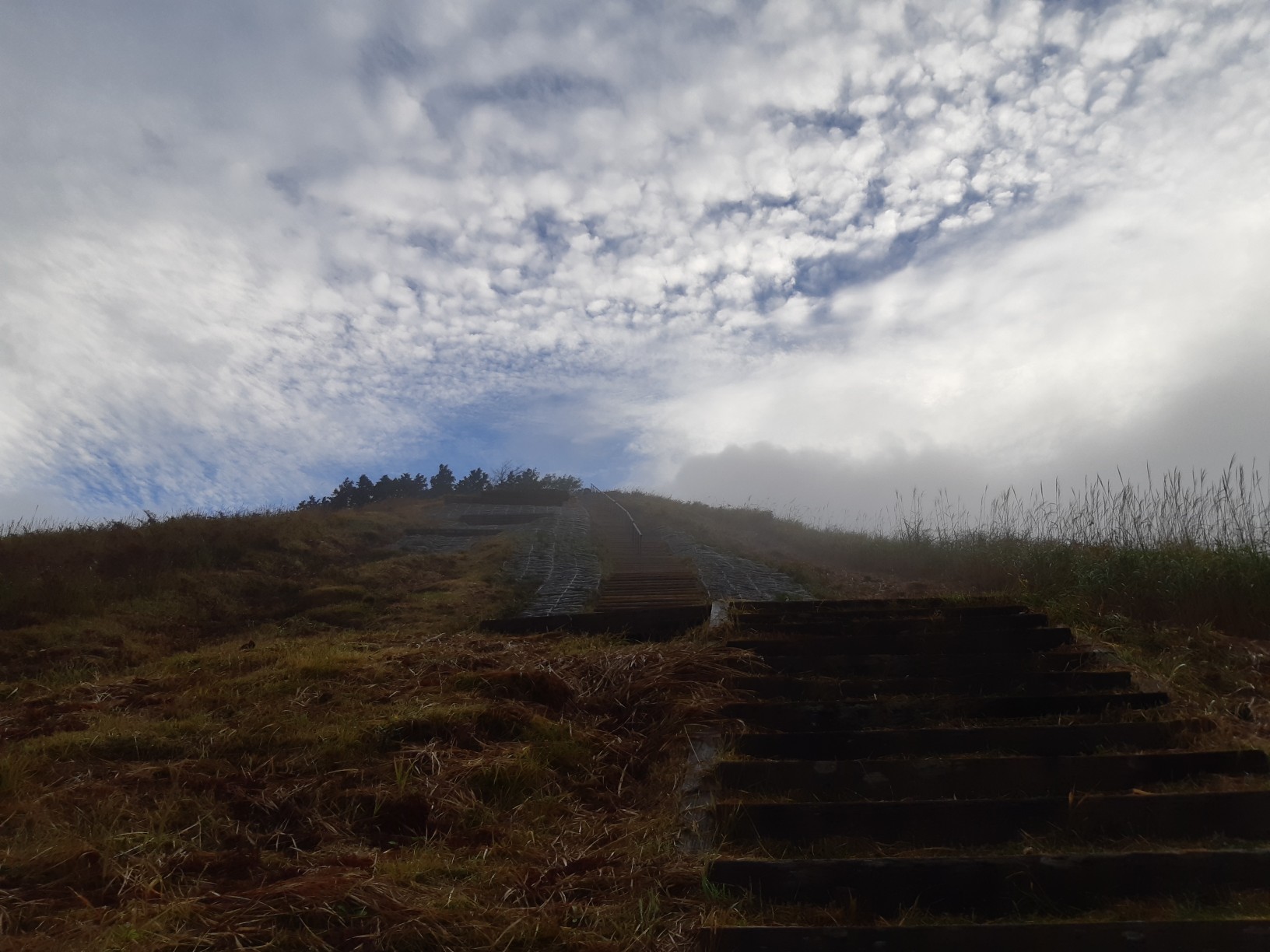 曽爾 高原 天気