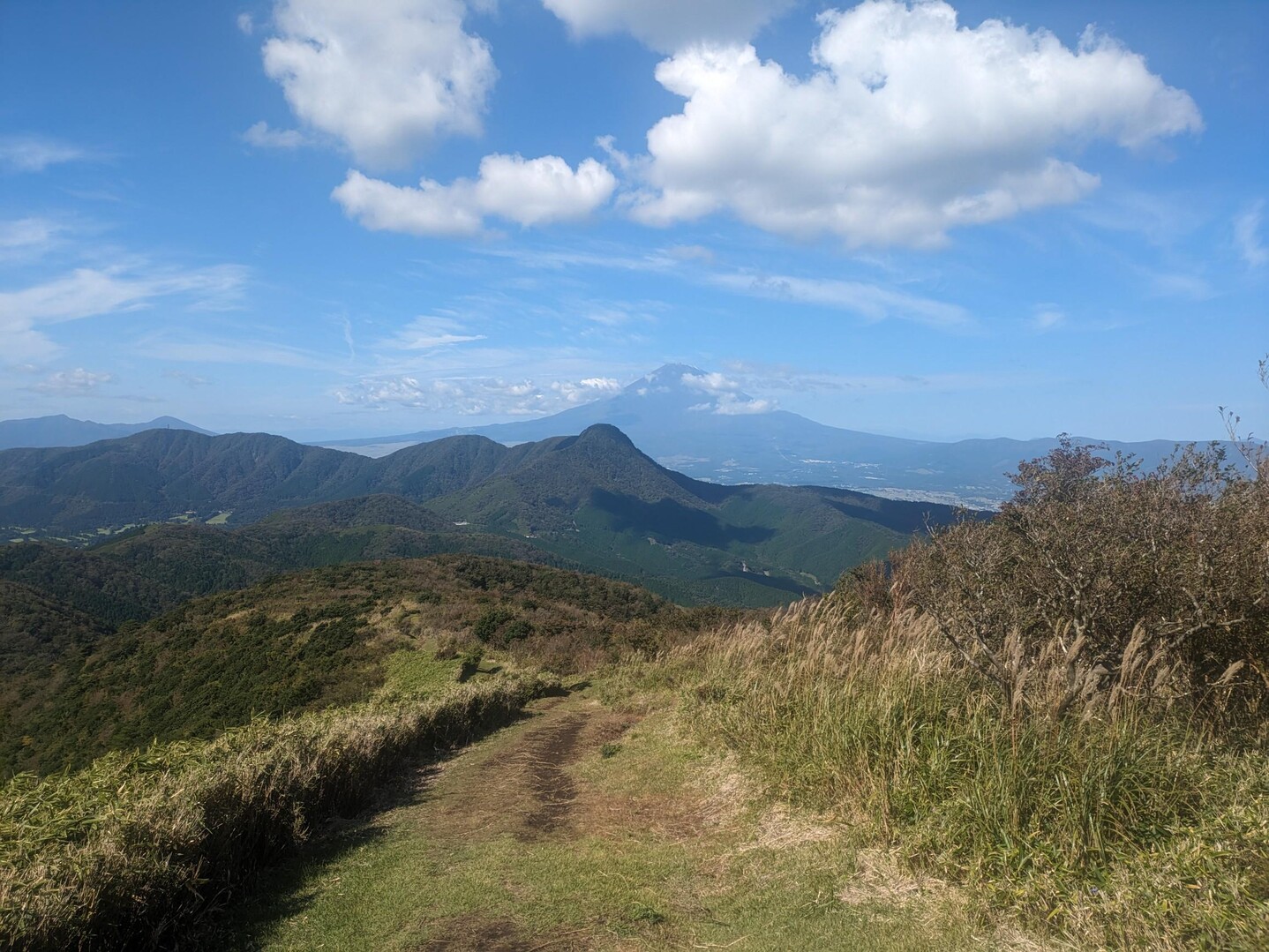 箱根ガイリーン / やまさんの箱根山・神山の活動日記 | YAMAP / ヤマップ