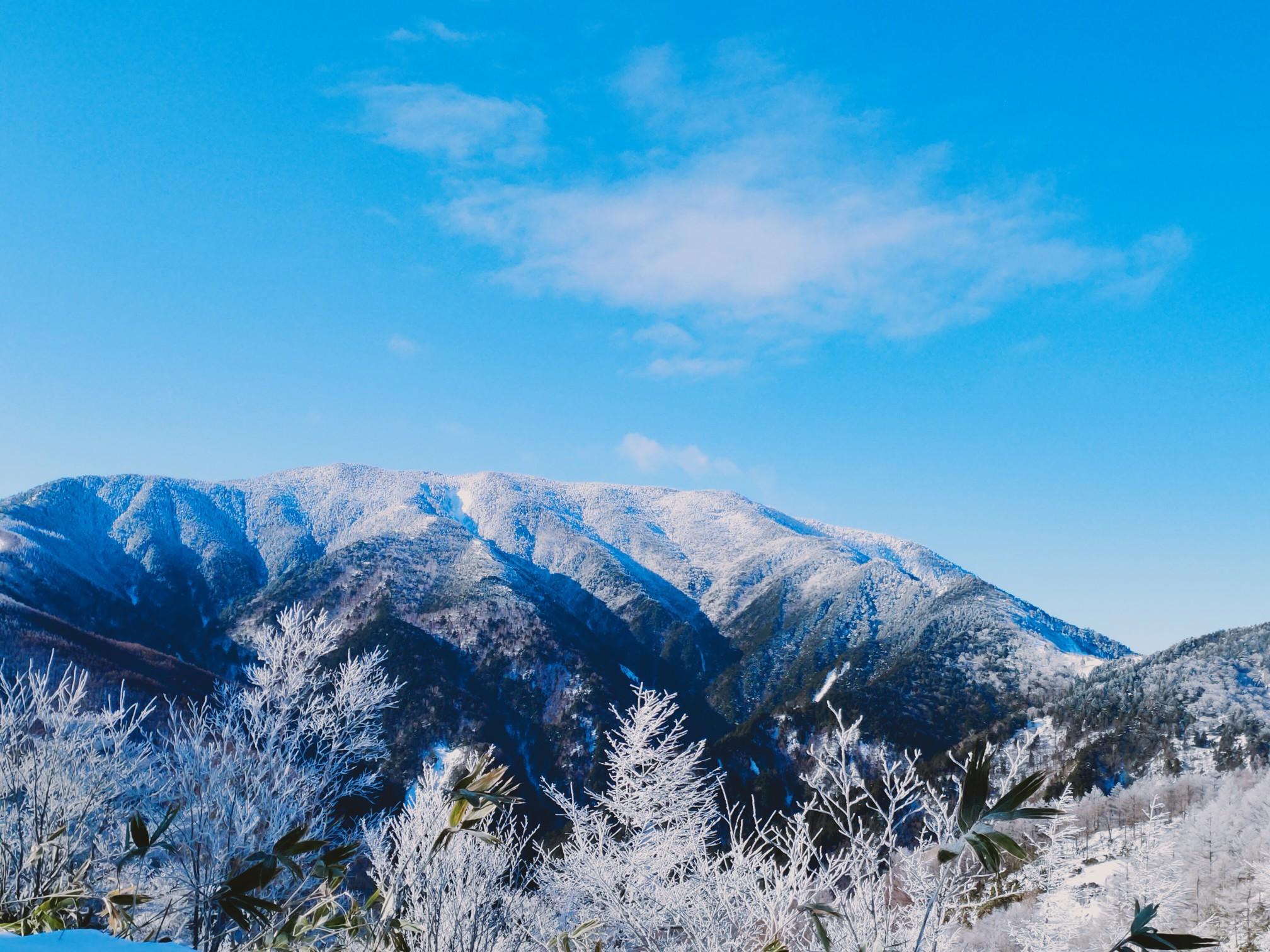 恵那山 雪山 Qomolangmaさんの恵那山 大判山 神坂山の活動データ Yamap ヤマップ