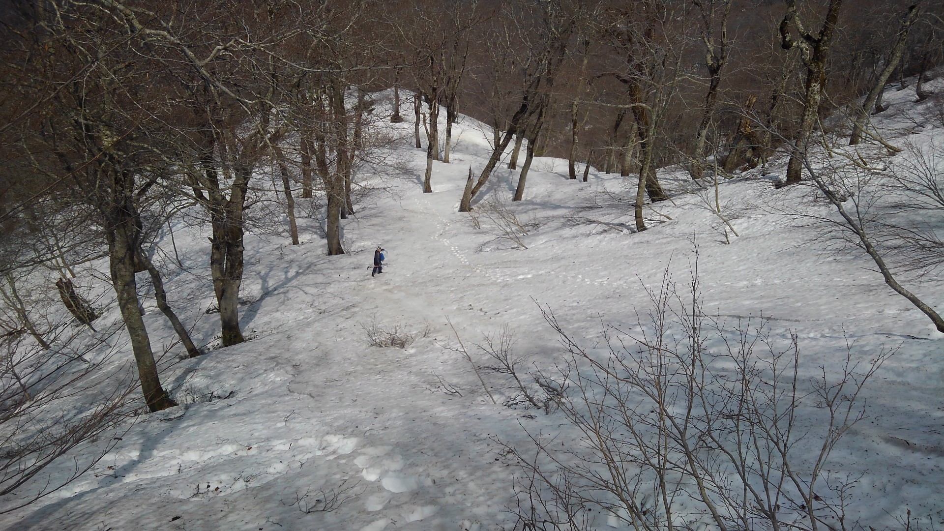 太平山 秋田 奥岳 05 03 Ytkさんの太平山 秋田 馬場目岳の活動日記 Yamap ヤマップ