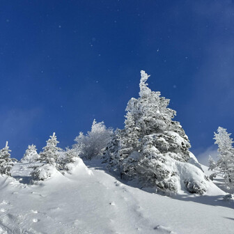 四阿山・根子岳 時折天気が回復したりしなかったり