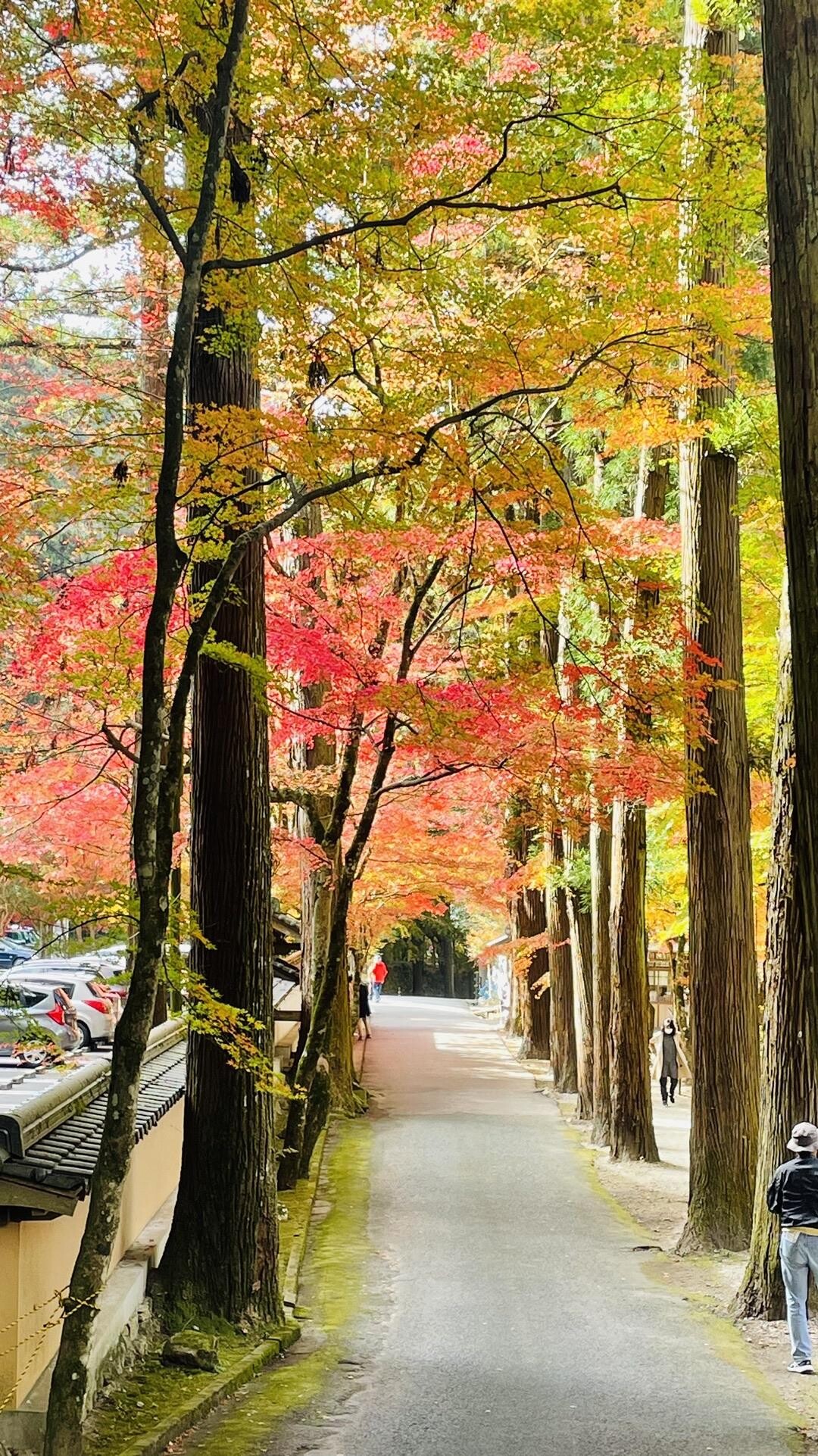 2年ぶりに佛通寺（三原市/広島県）に行き... / みっきーさんのモーメント YAMAP / ヤマップ