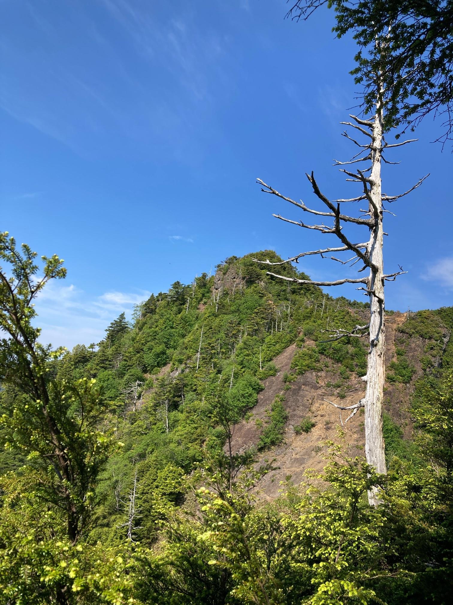 皇海山・袈裟丸山・庚申山 鋸山