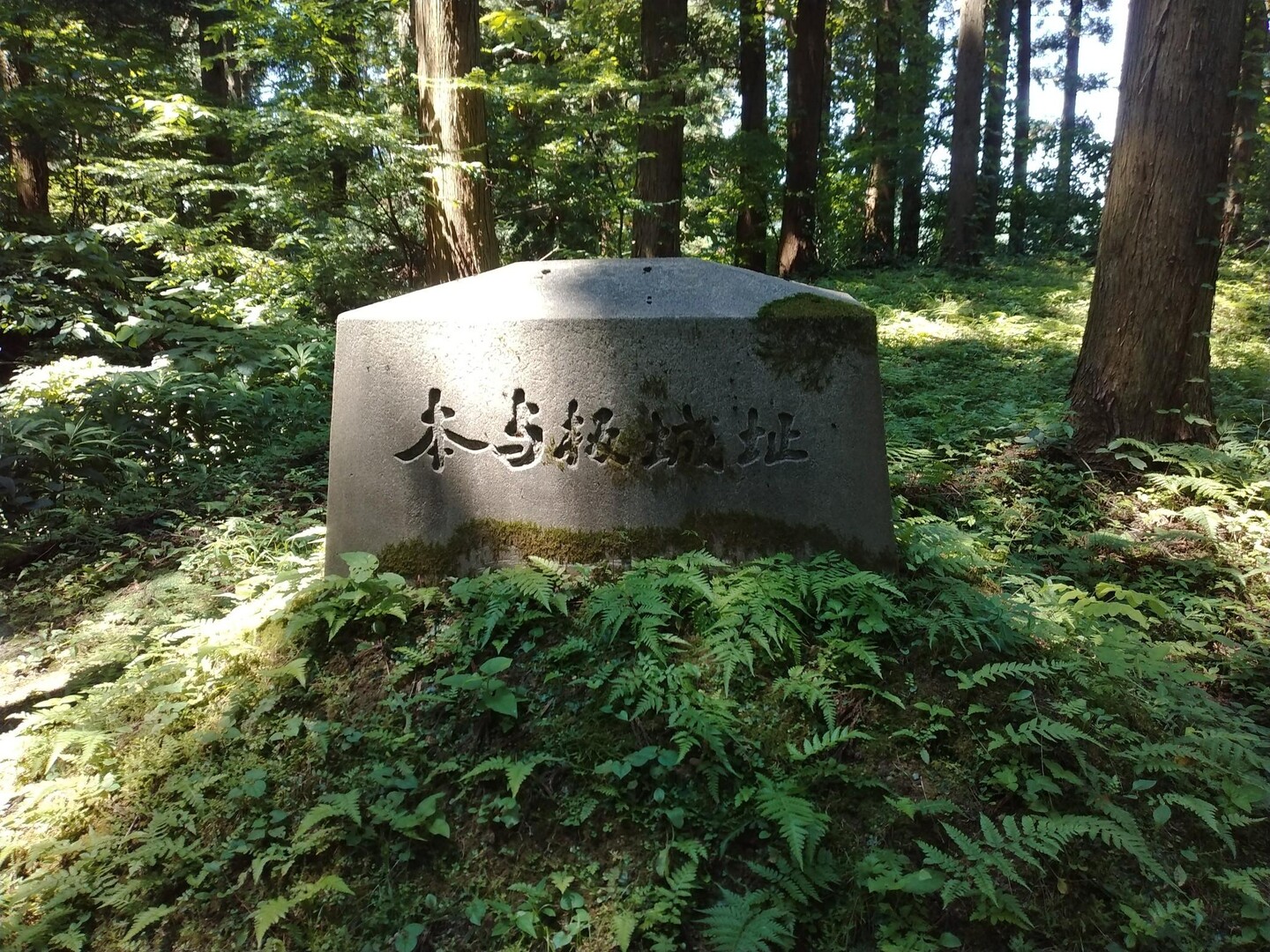 本与板城跡・光西寺 / kinkinkinさんの長岡市 北エリアの活動データ YAMAP / ヤマップ