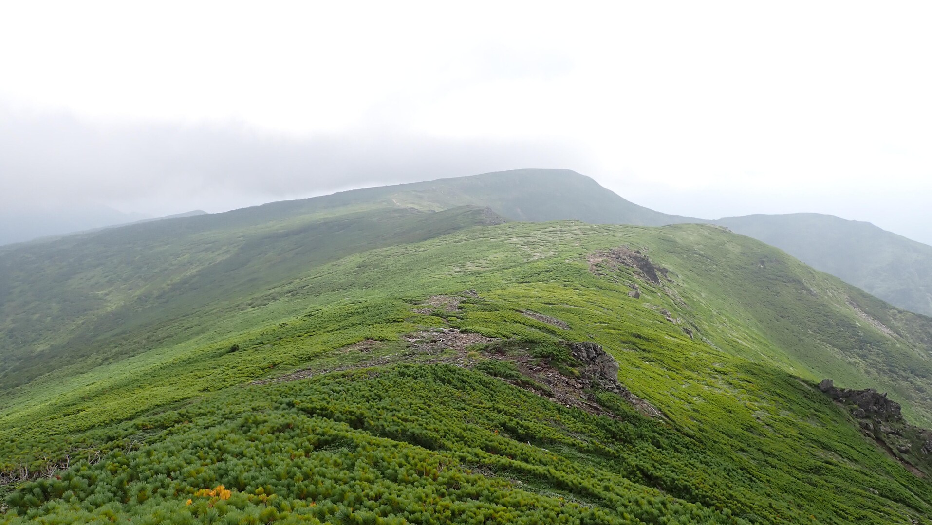 平山～比麻良山～文三岳 / 登山ガイドカネコさんのニセイカウシュッペ山・平山・朝陽山の活動データ YAMAP / ヤマップ