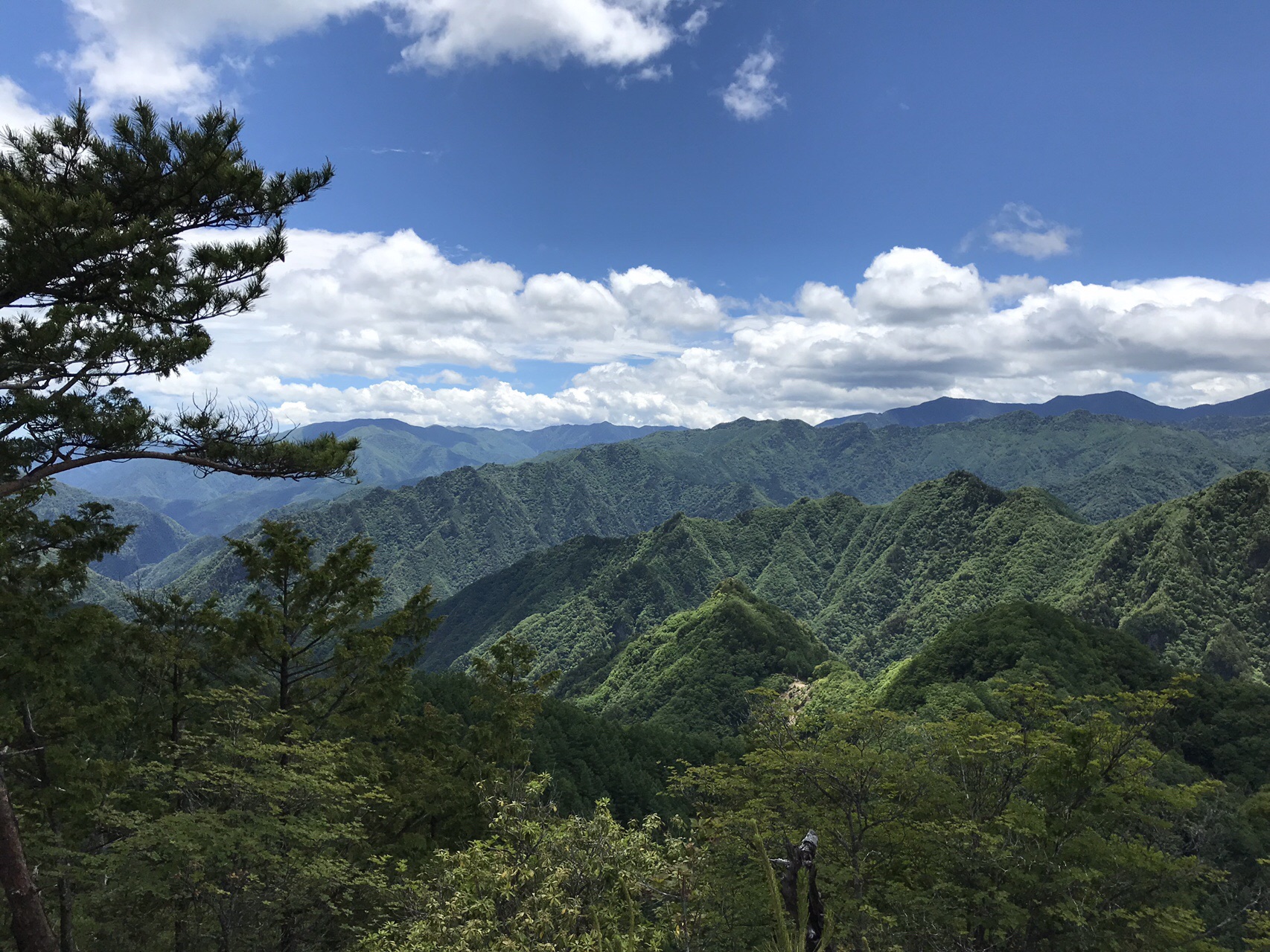 やっぱりそうしろ 宗四郎山 埼玉 第二の小ピーク ニピー さんの天丸山 南天山の活動日記 Yamap ヤマップ