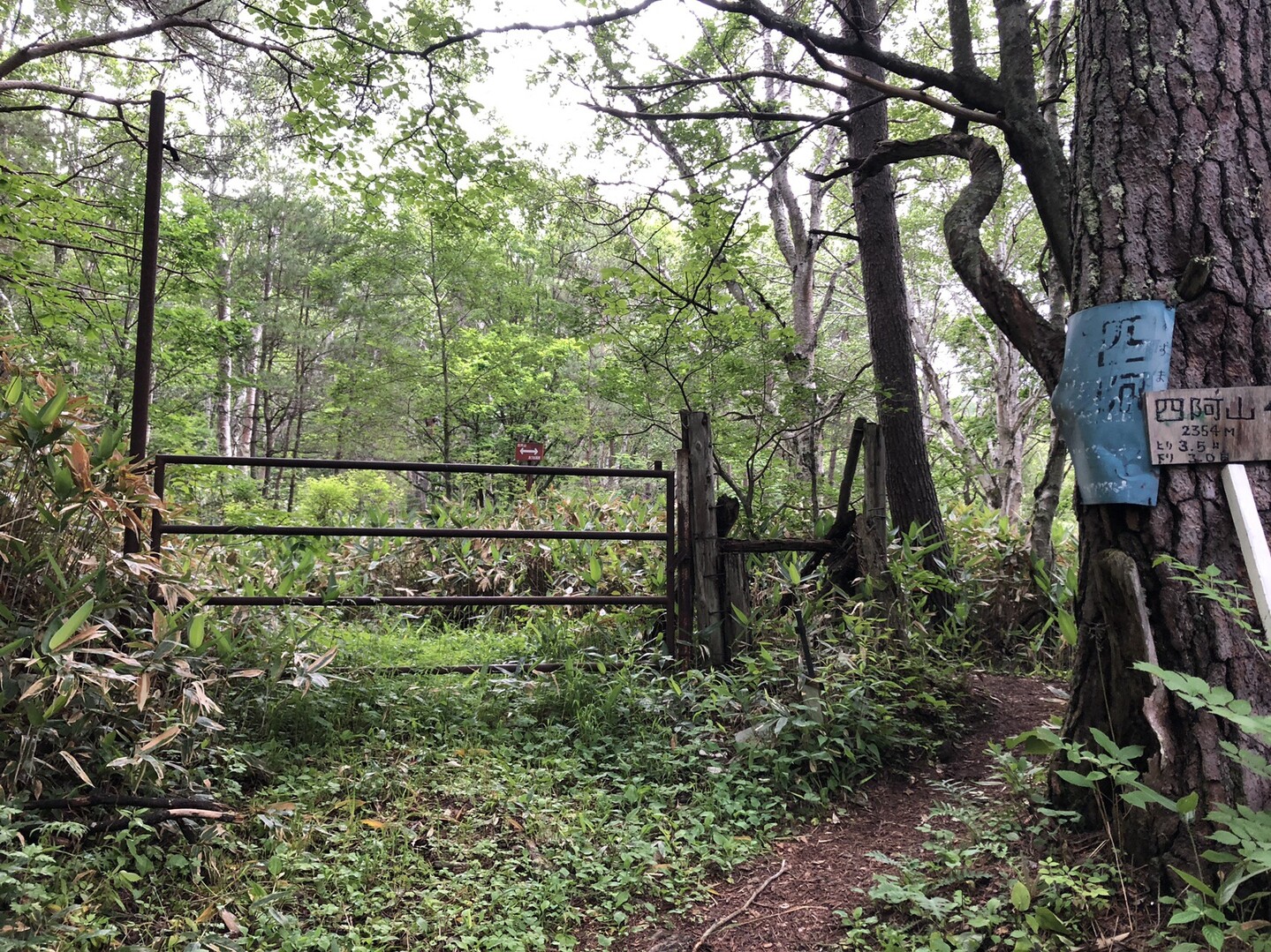 あずまや高原ホテルルートからの四阿山 たかさんの四阿山 根子岳の活動日記 Yamap ヤマップ