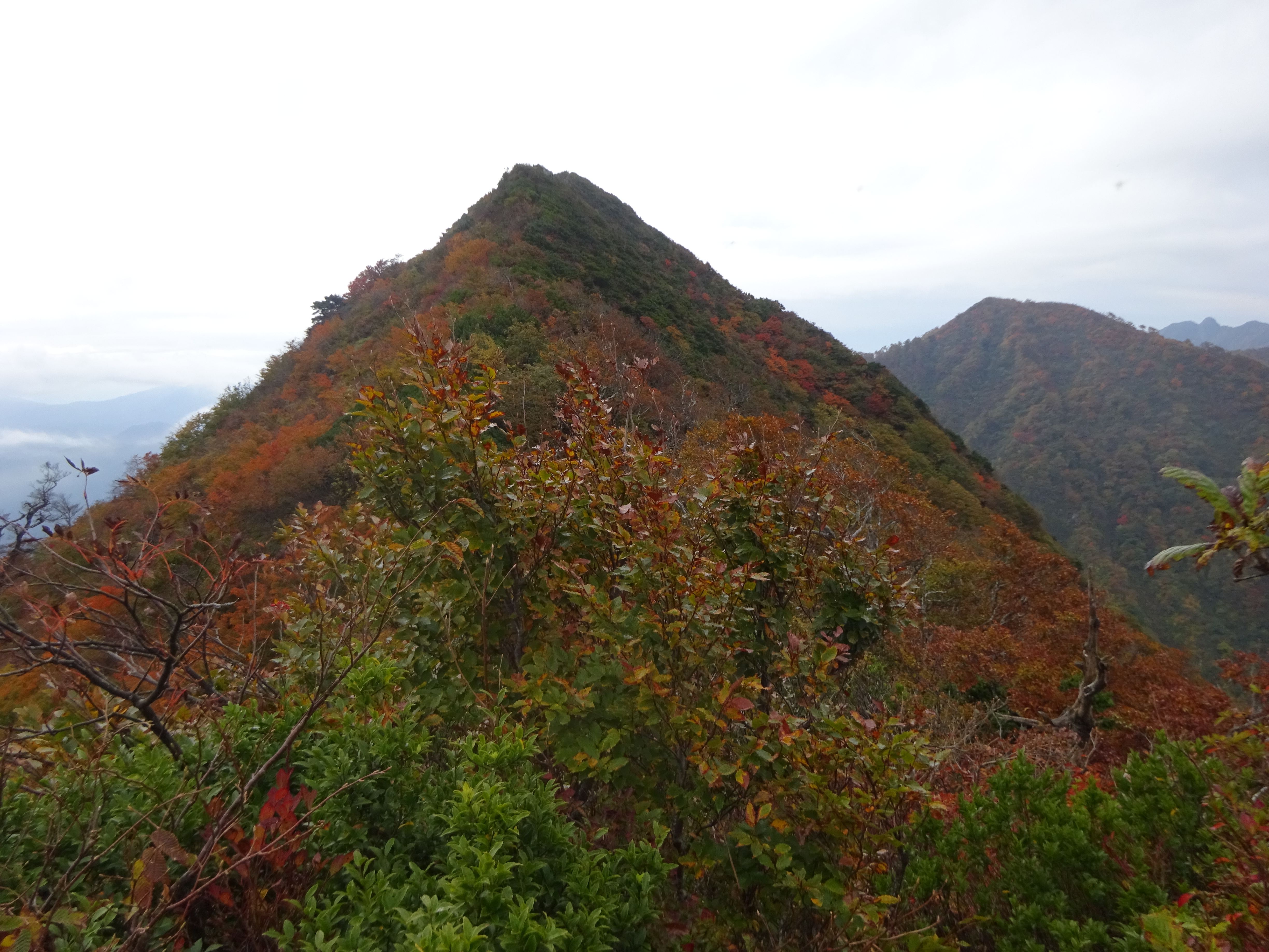 草笛健吾 鮫順 On Twitter 総攻撃のこの場面 昔は山よりデカイゴジラが来たし影で暗くなった方が と思っていたんだけど ゴジラ はお化けだから山の向こうに急に現れたんだね きっと