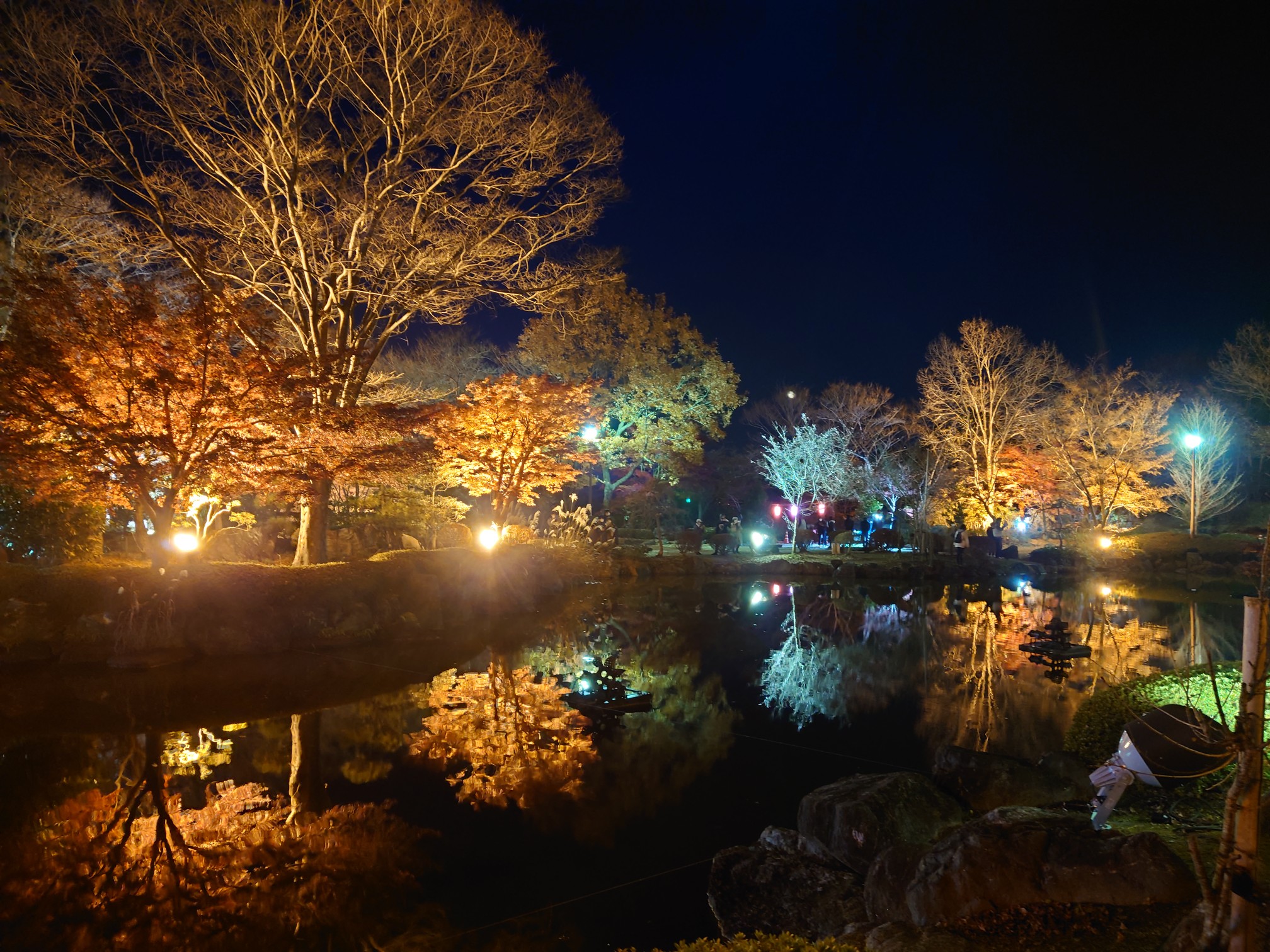 娘と写活 夜の部 ライトアップの桜山公 マロンくんさんのモーメント Yamap ヤマップ