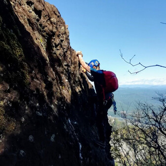 ミキミキツンパカルテイハ