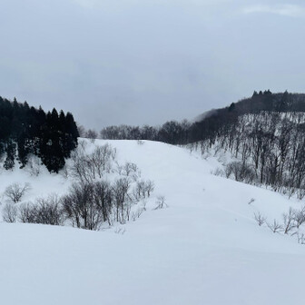 蘇武岳 大杉山、万場コース方面は全くトレース無し💦
目の前は下が見えない程の急斜面！ここ降りれるん❓