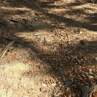 急な下りを今度は登る