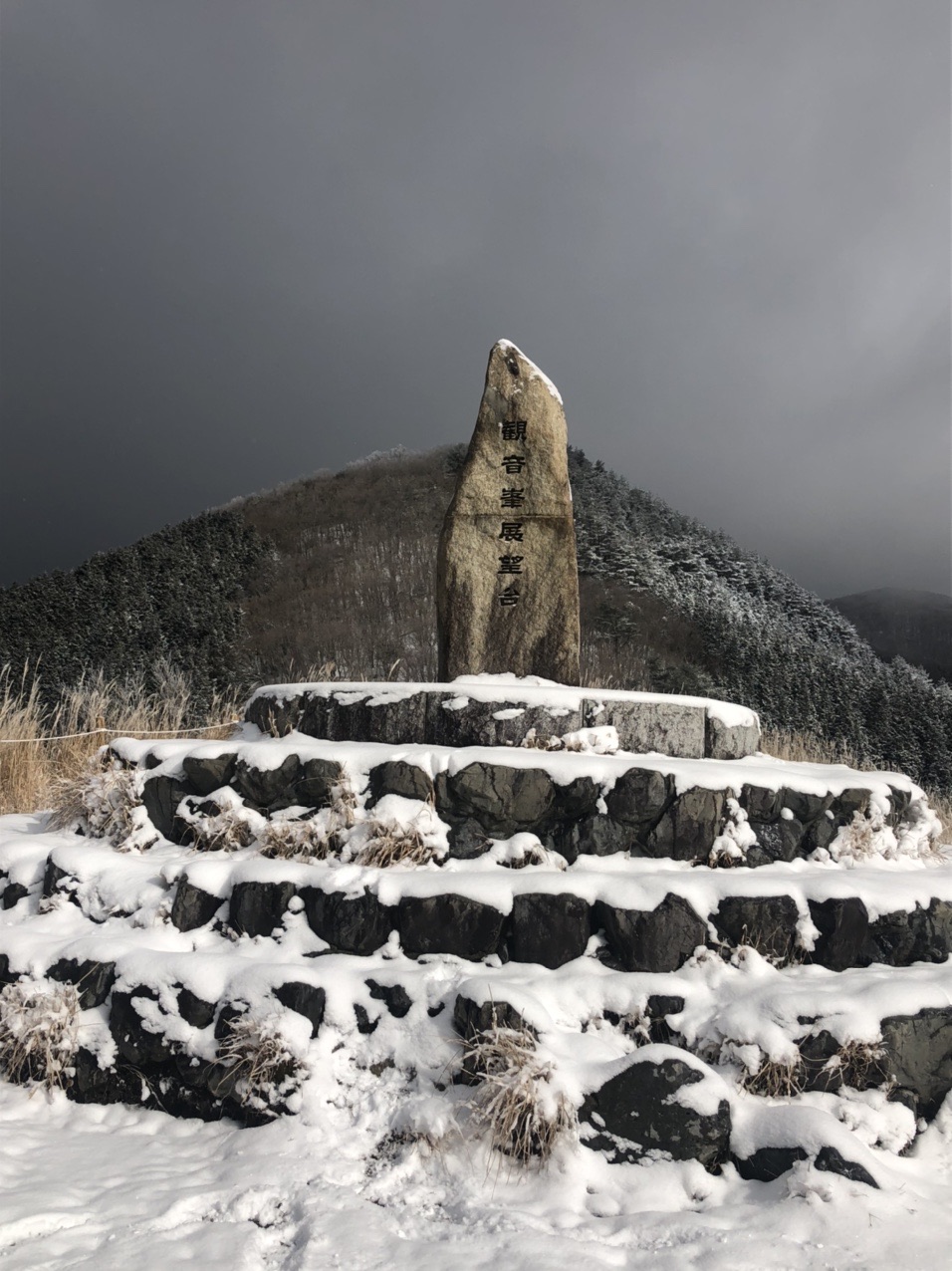 観音峯山 代替リベンジ登山 ゆっこさんの観音峯山の活動データ Yamap ヤマップ