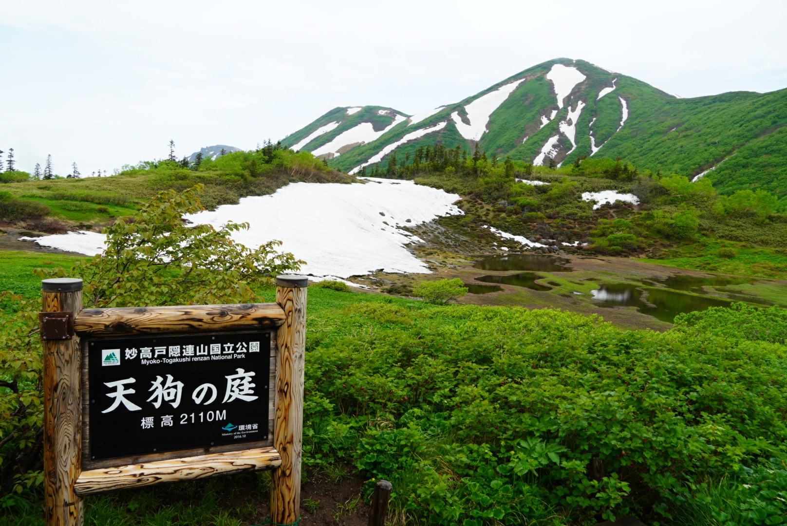 火打山 笹ヶ峰から高谷池ヒュッテ泊 花の最盛期には1 2週間早く アツシさんの妙高山 火打山の活動日記 Yamap ヤマップ
