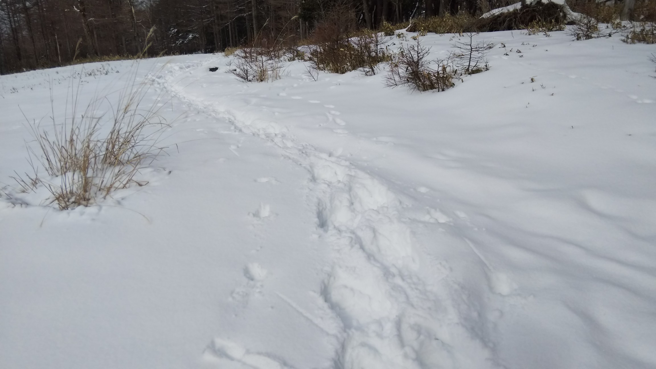 ここまでの足跡