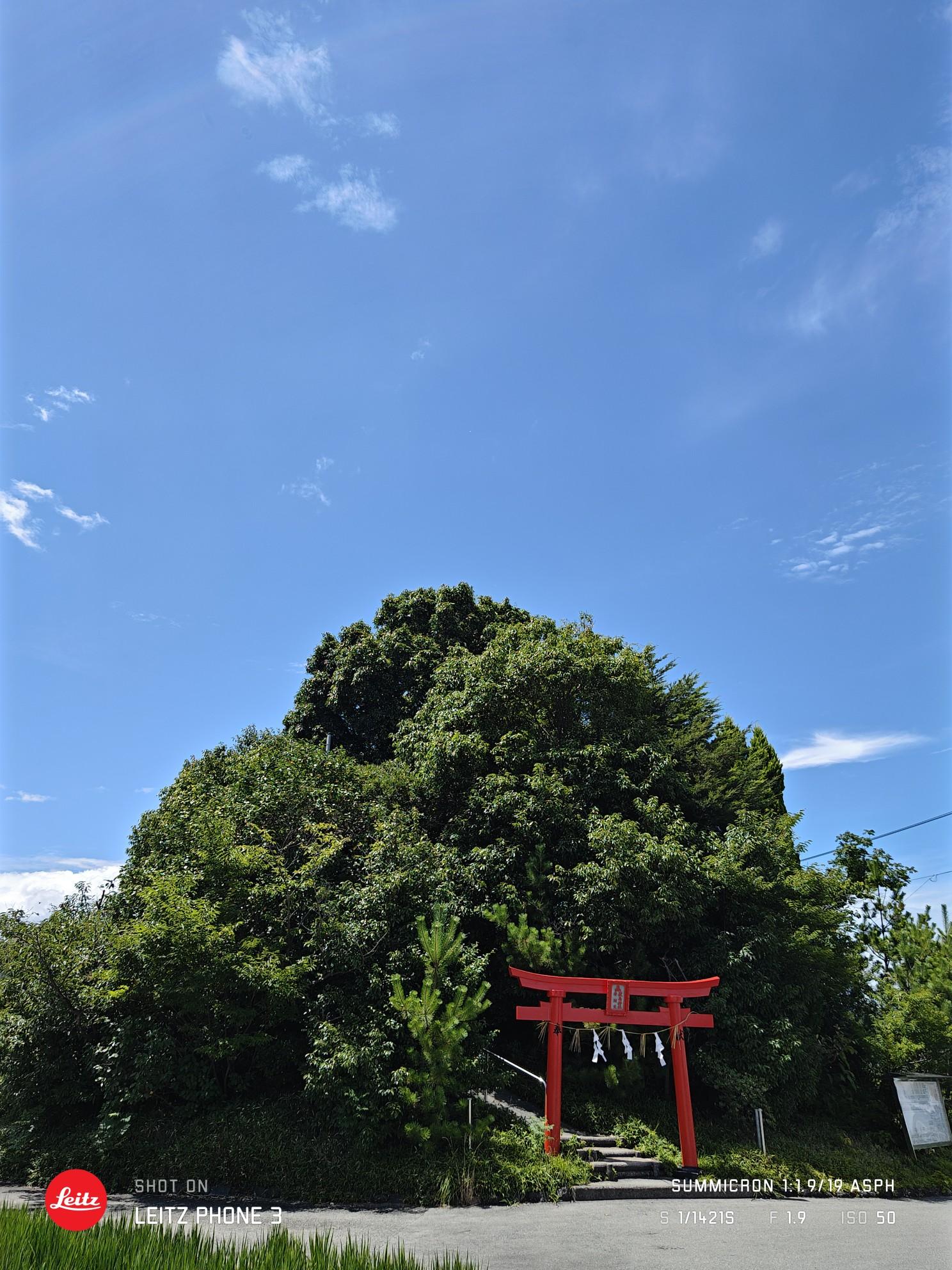 日本一の低山 弁天山 / ジャニスさんのあづり越の活動データ | YAMAP / ヤマップ