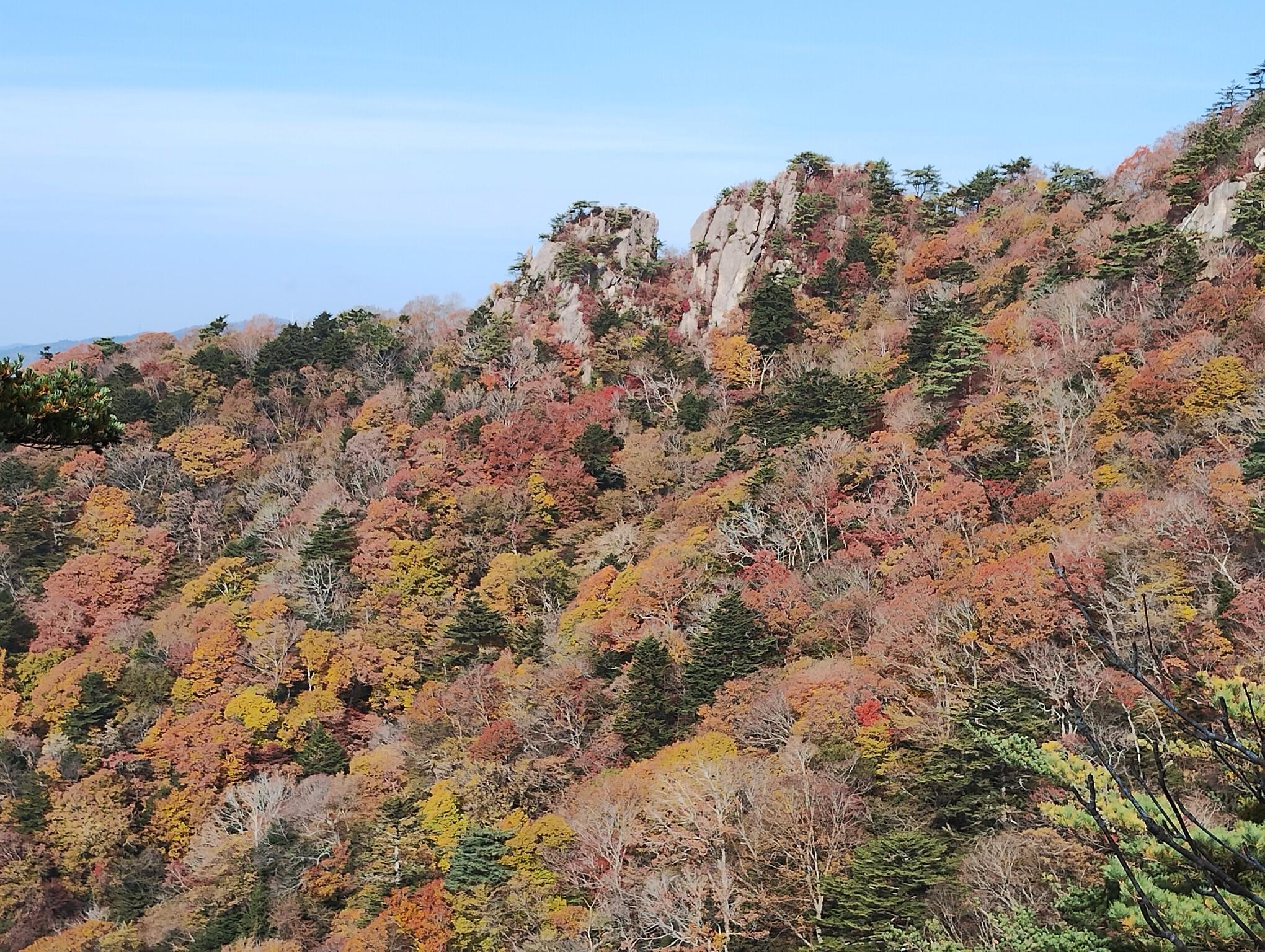 二ッ箭山 往復コースの地図・登山ルート・登山口情報 | YAMAP / ヤマップ