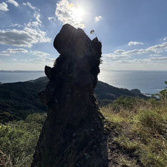 良い感じです。