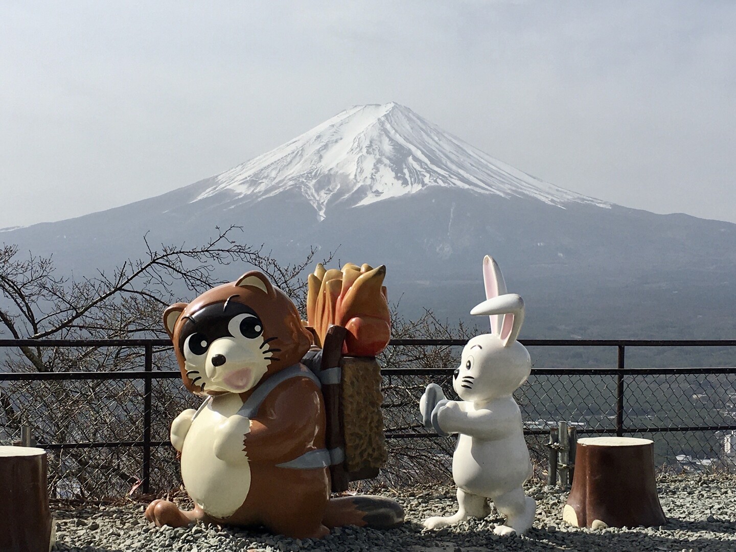 カチカチ山 / みんみんさんの三ッ峠山・本社ヶ丸・鶴ヶ鳥屋山の活動日記 | YAMAP / ヤマップ