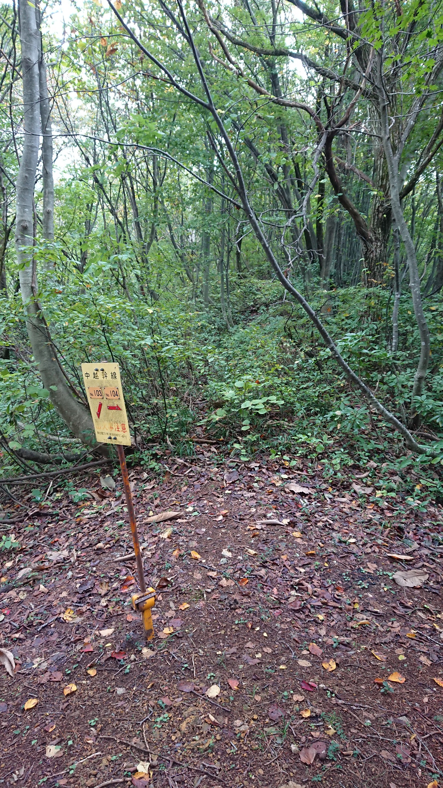 木六山・銀次郎山 ここからちょい藪