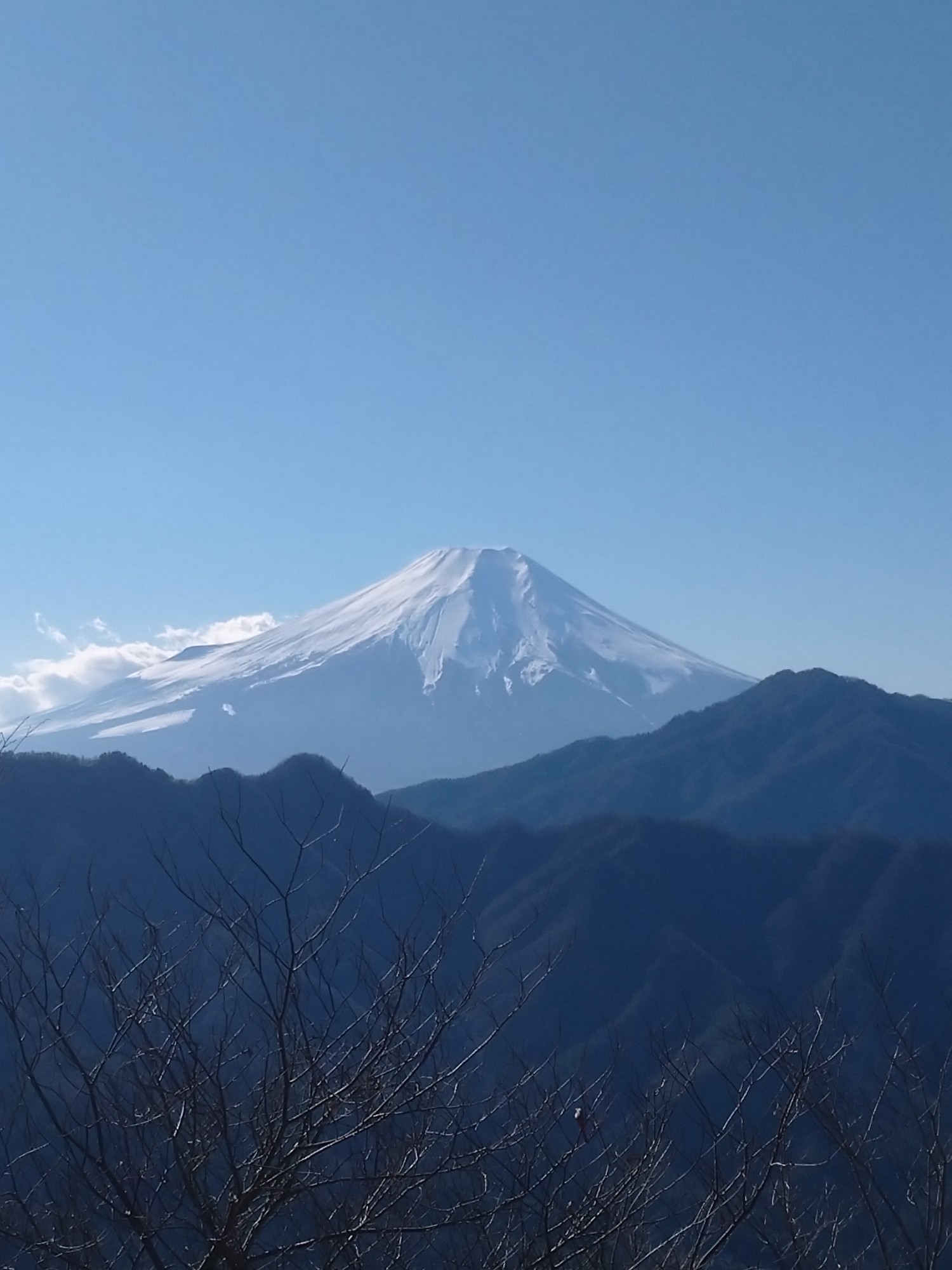 あらたやま Amazon | タジマ(Tajima) 太軸ソケット21 12角 FS21-12K