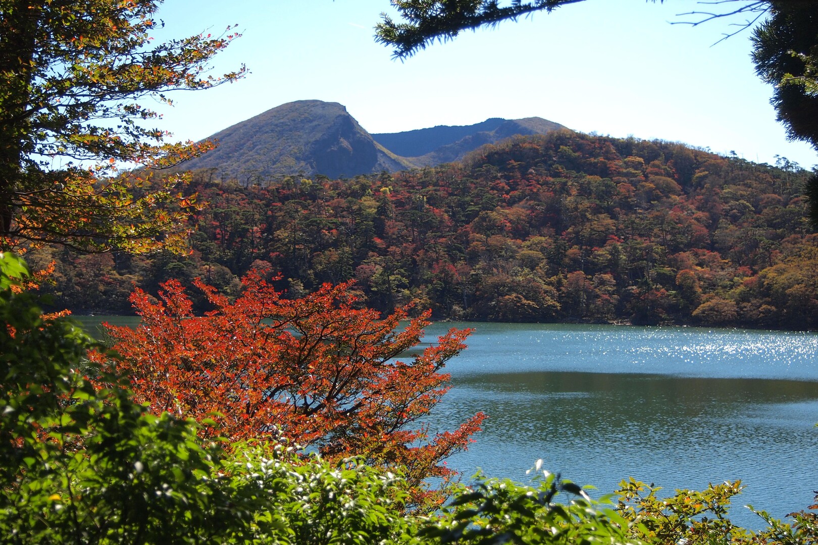 霧島池巡りコースの紅葉はどうでしょう？ / sakurarumiさんの霧島山・韓国岳・高千穂峰・夷守岳・烏帽子岳の活動データ | YAMAP