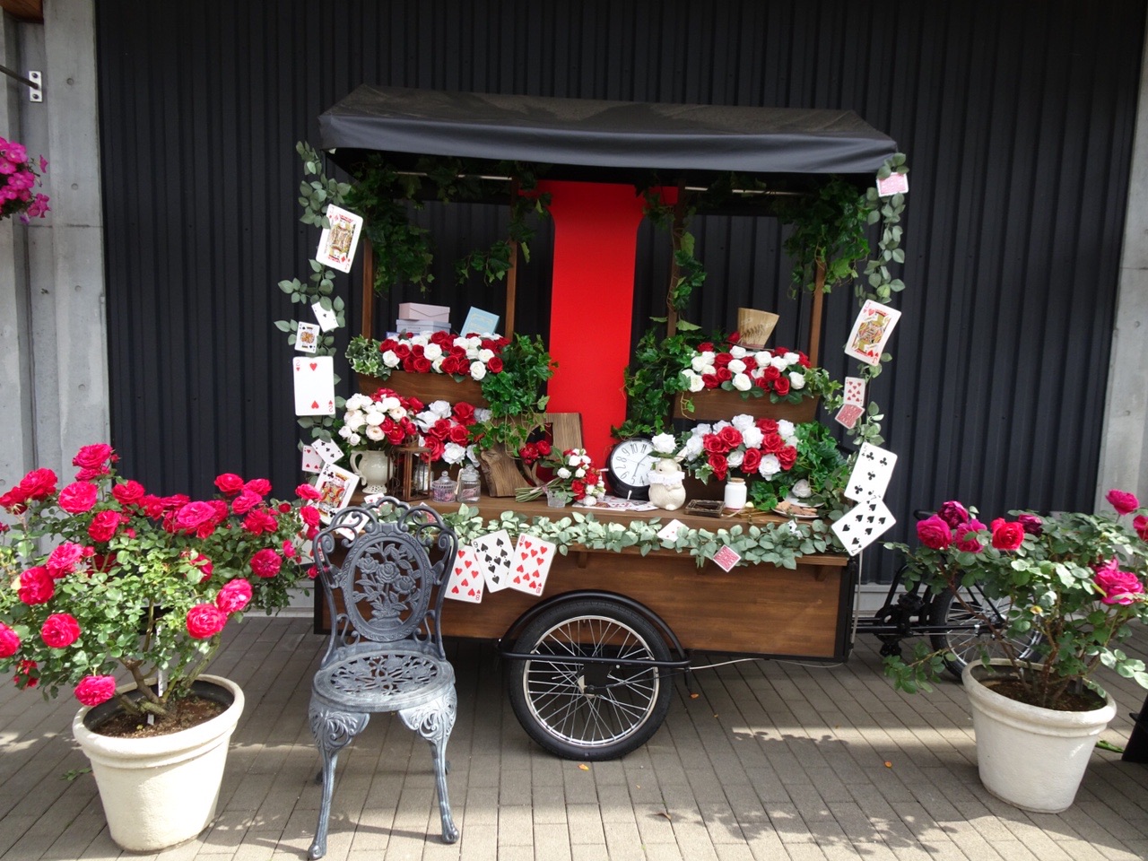 平塚市 花菜ガーデン Igelさんの平塚市の活動日記 Yamap ヤマップ