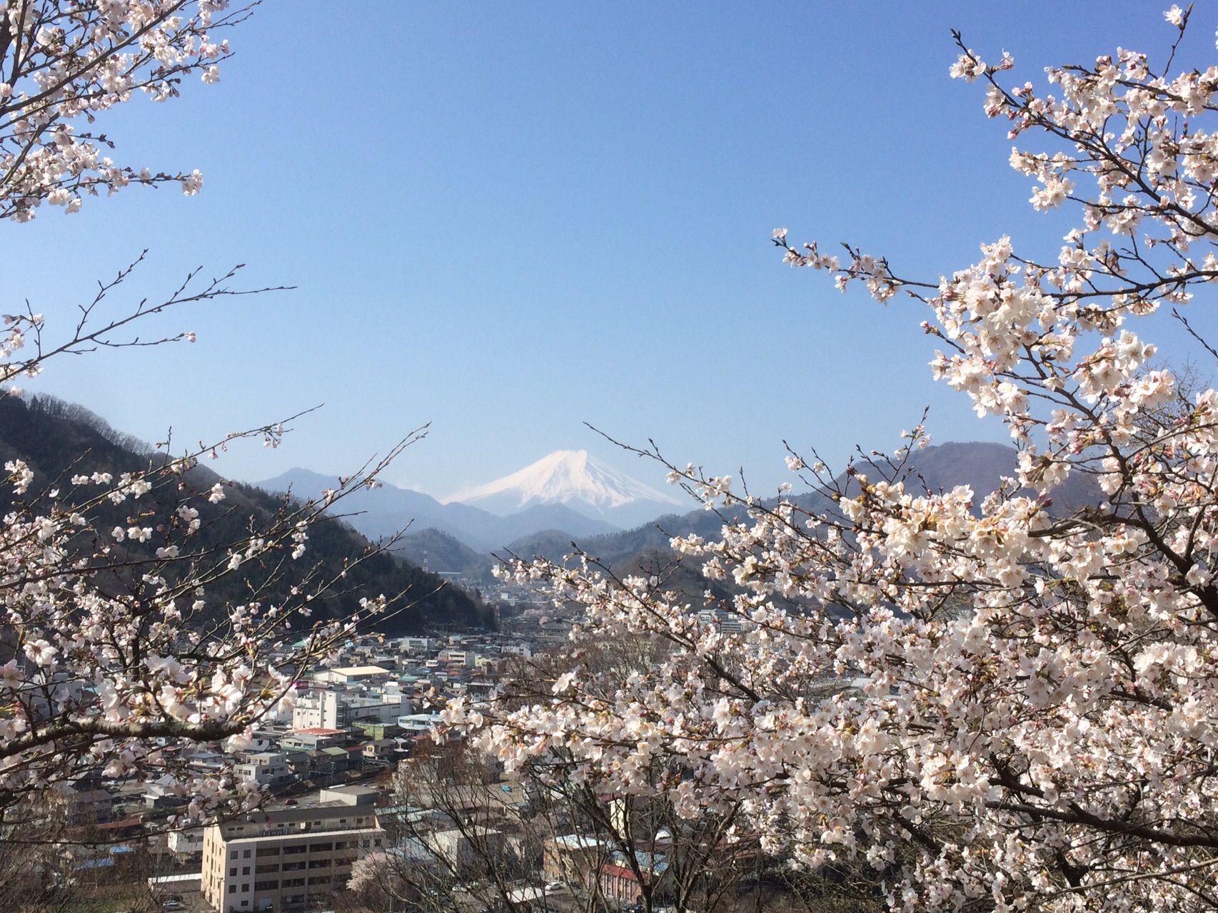 岩殿山 セーメーバン Yasuoさんの雁ヶ腹摺山 岩殿山の活動日記 Yamap ヤマップ