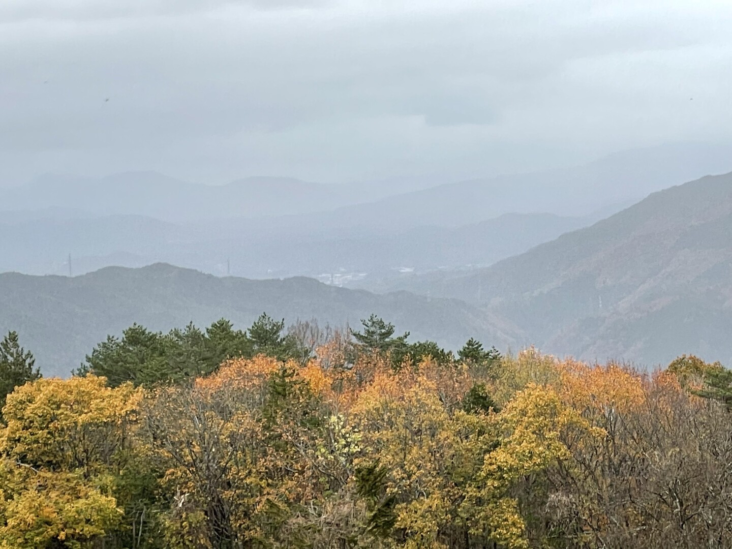 位山（道の駅モンデウス飛騨位山からピストン） / ぶんささんの川上岳・位山・船山（飛騨富士）の活動データ YAMAP / ヤマップ